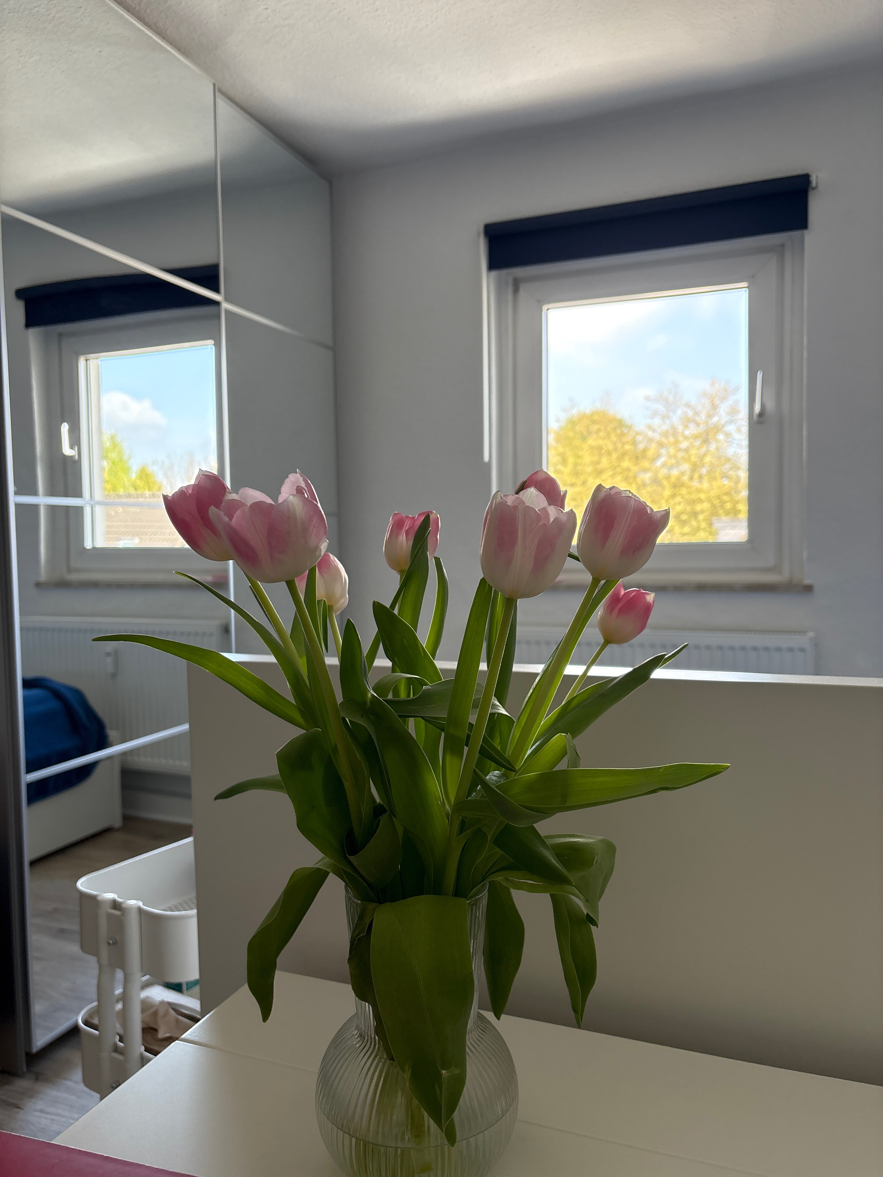 image-8