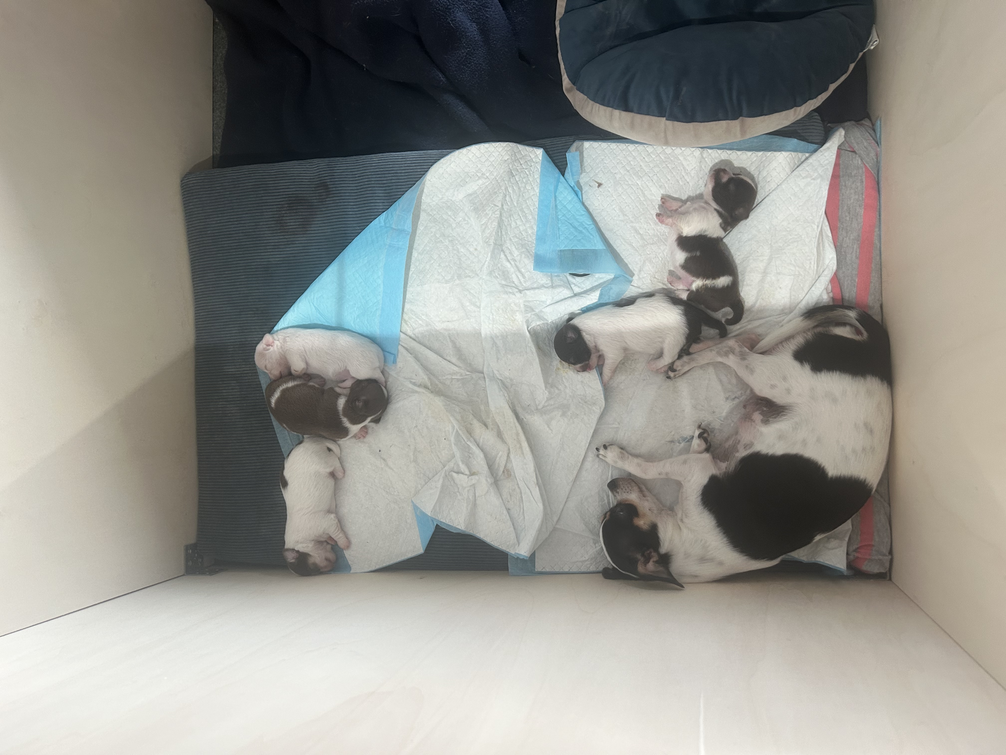 image-10