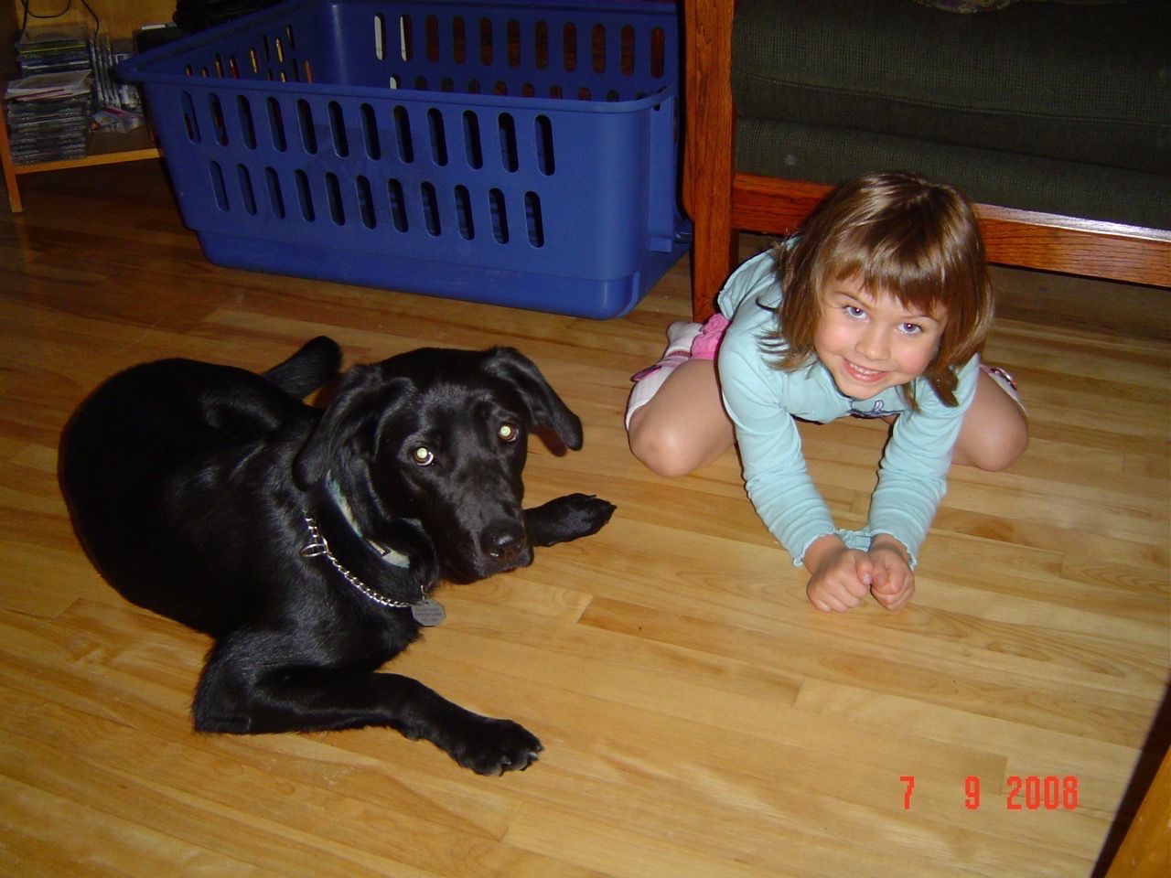 image-7