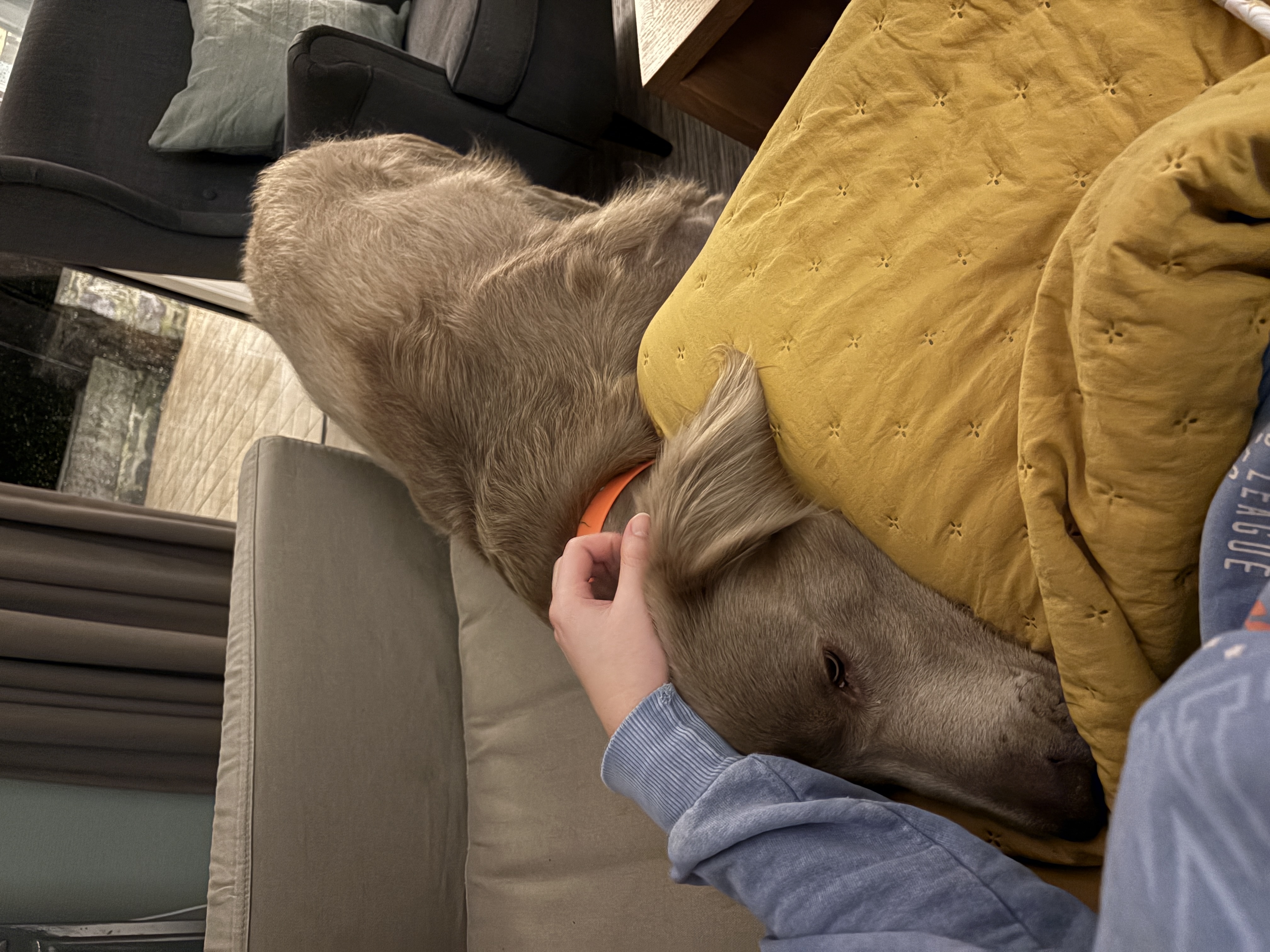image-8