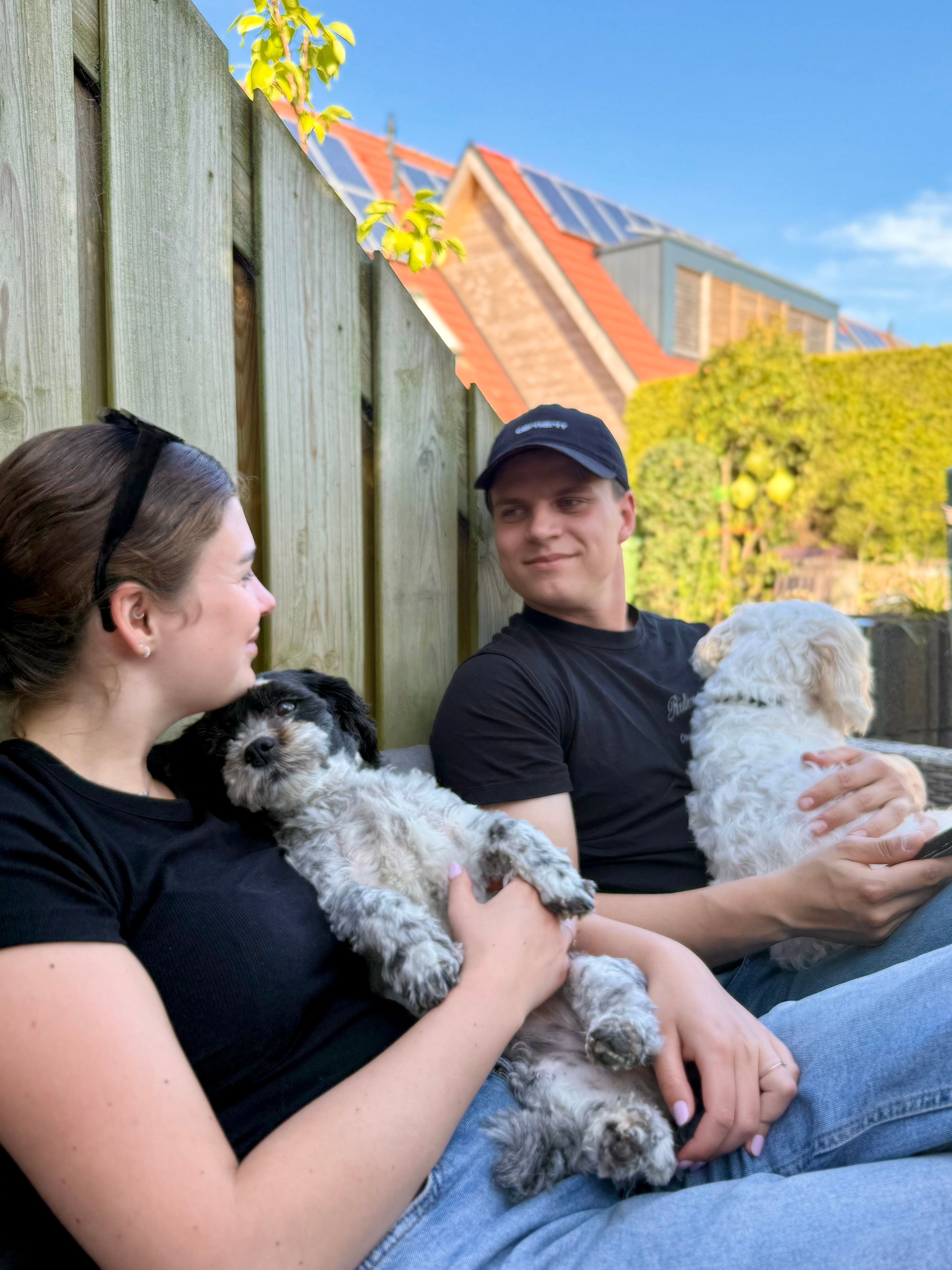 image-3