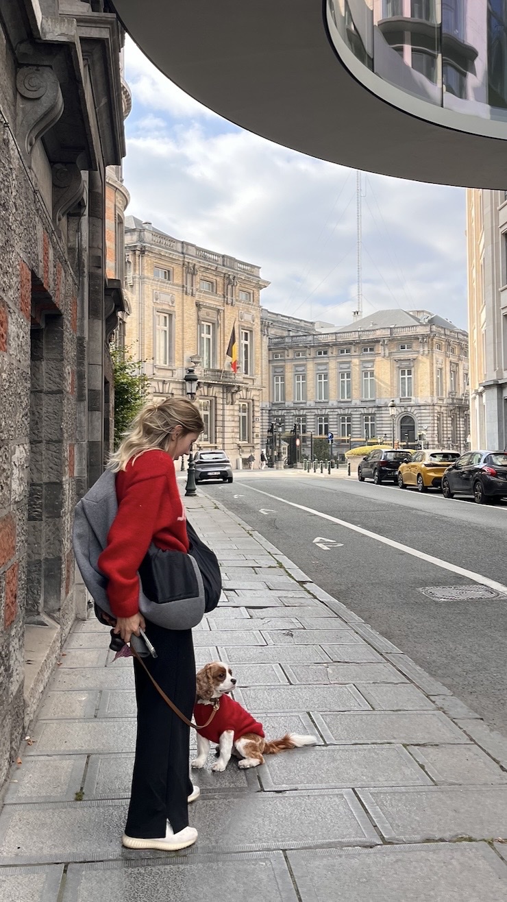 image-14