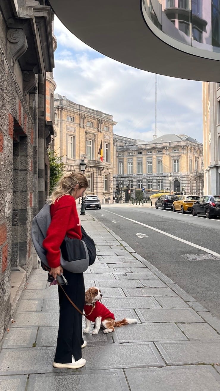 image-14