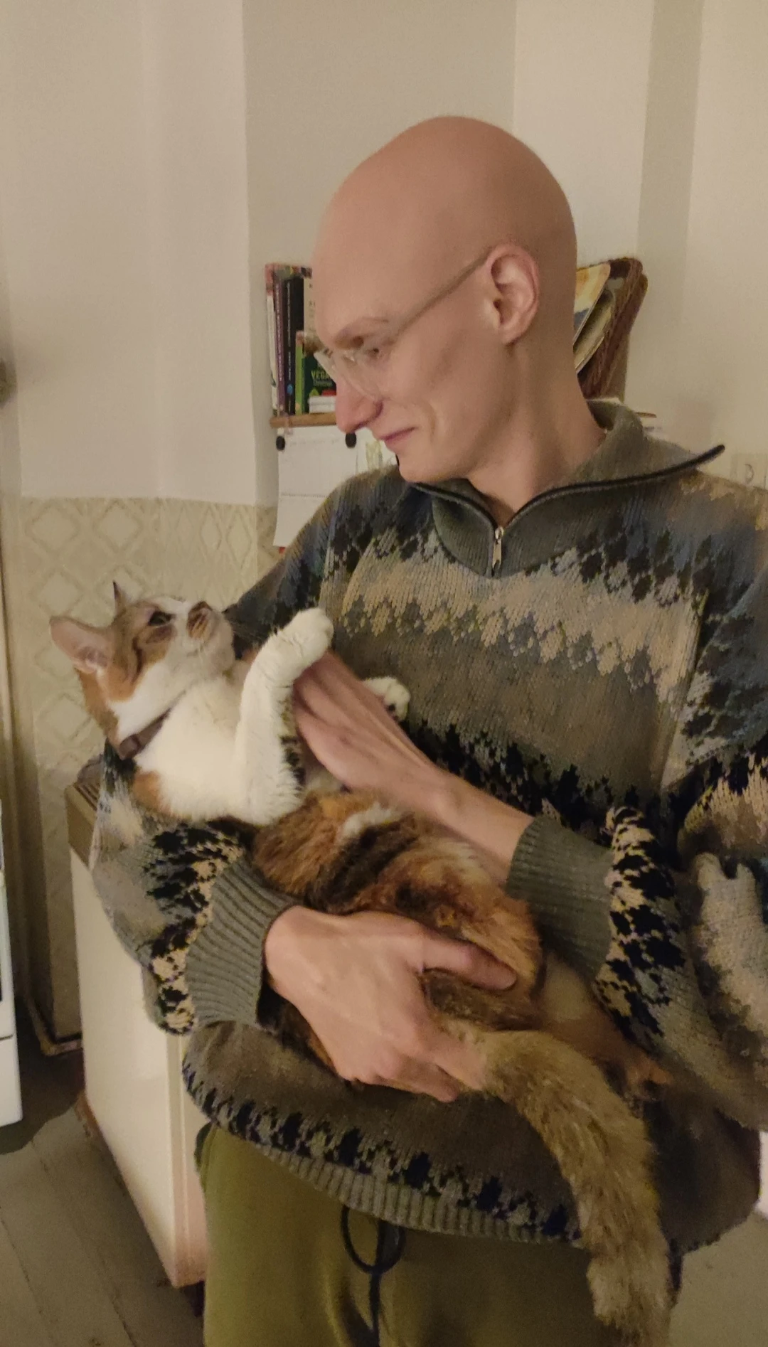 image-7