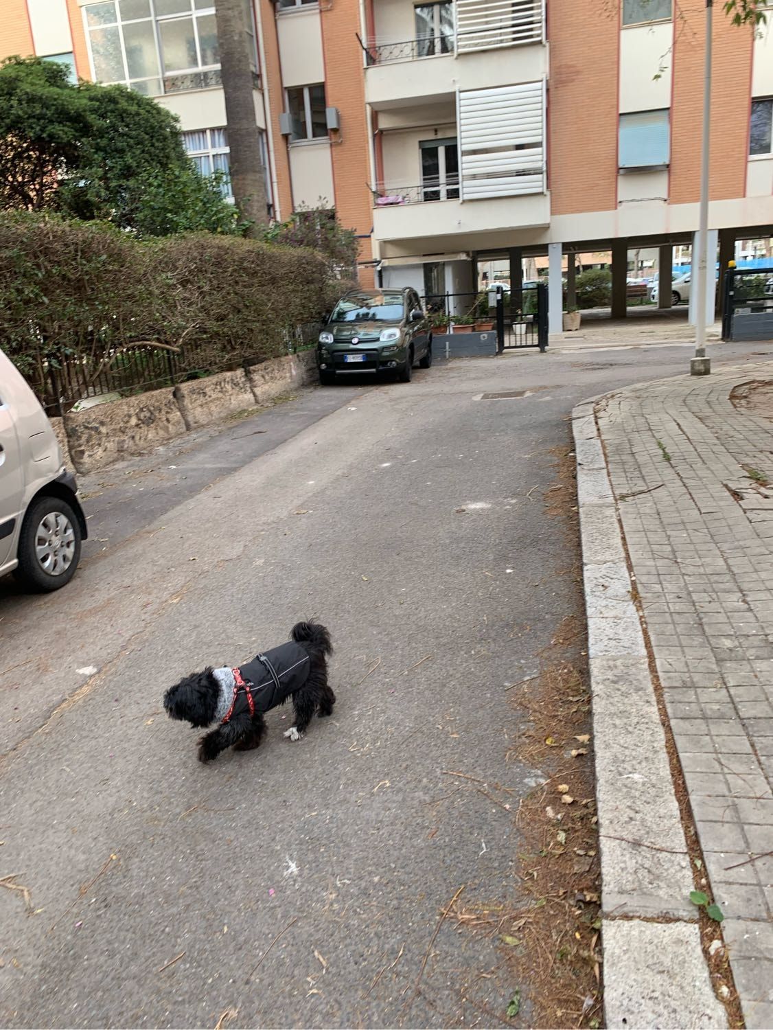 image-3