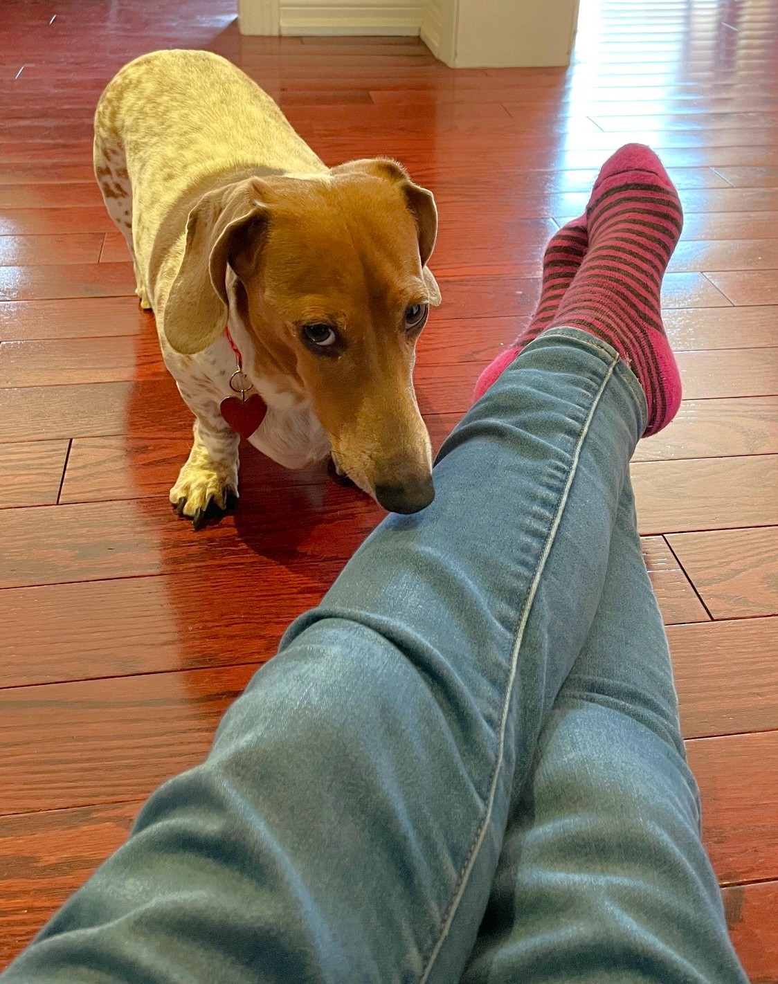 image-11