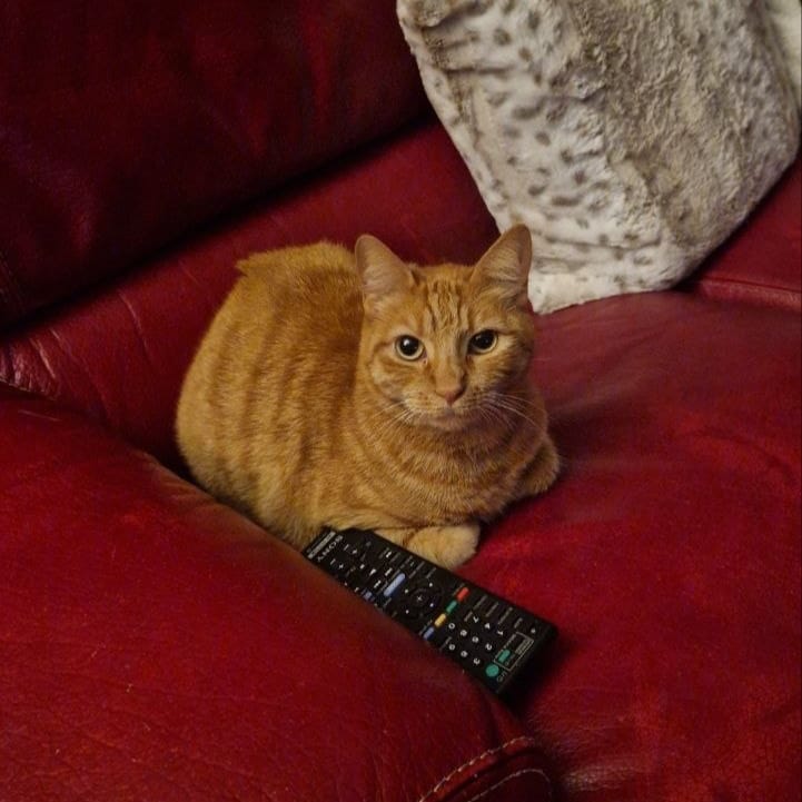 Rajah