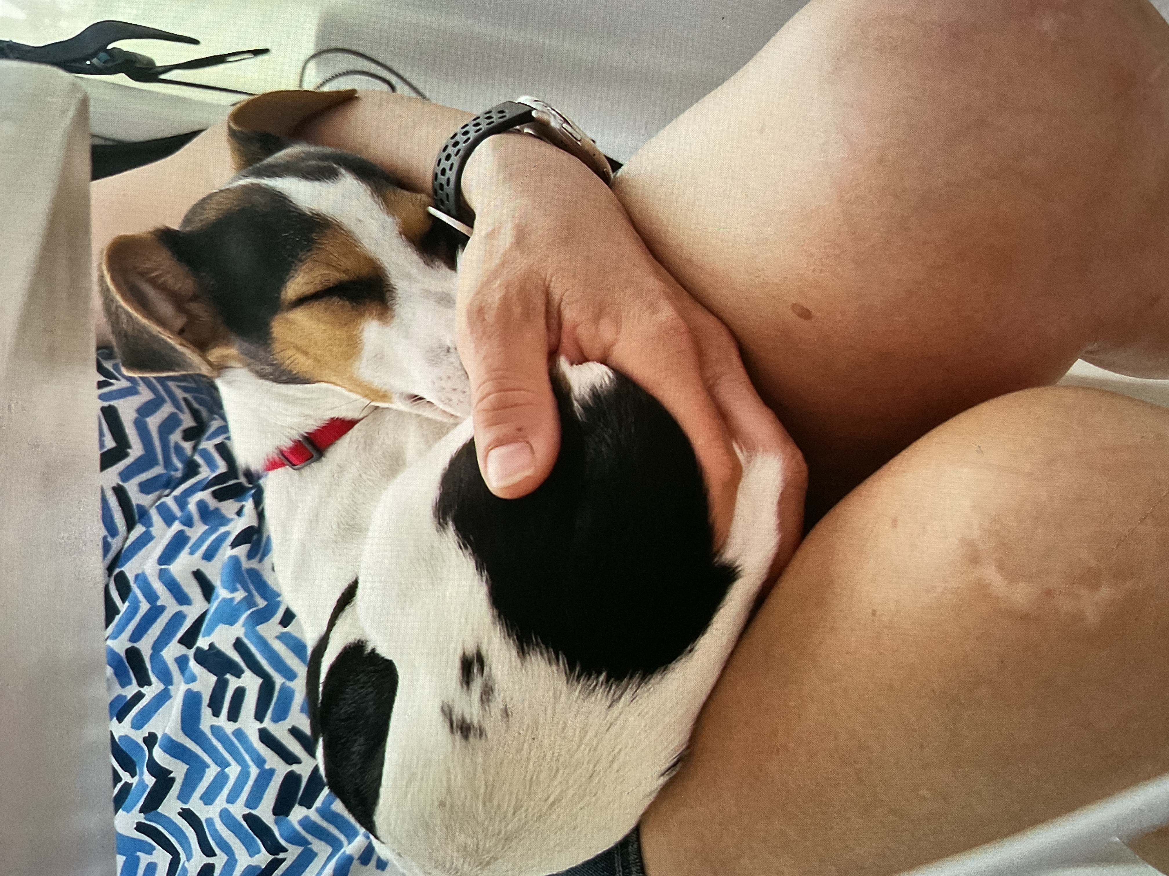 image-6