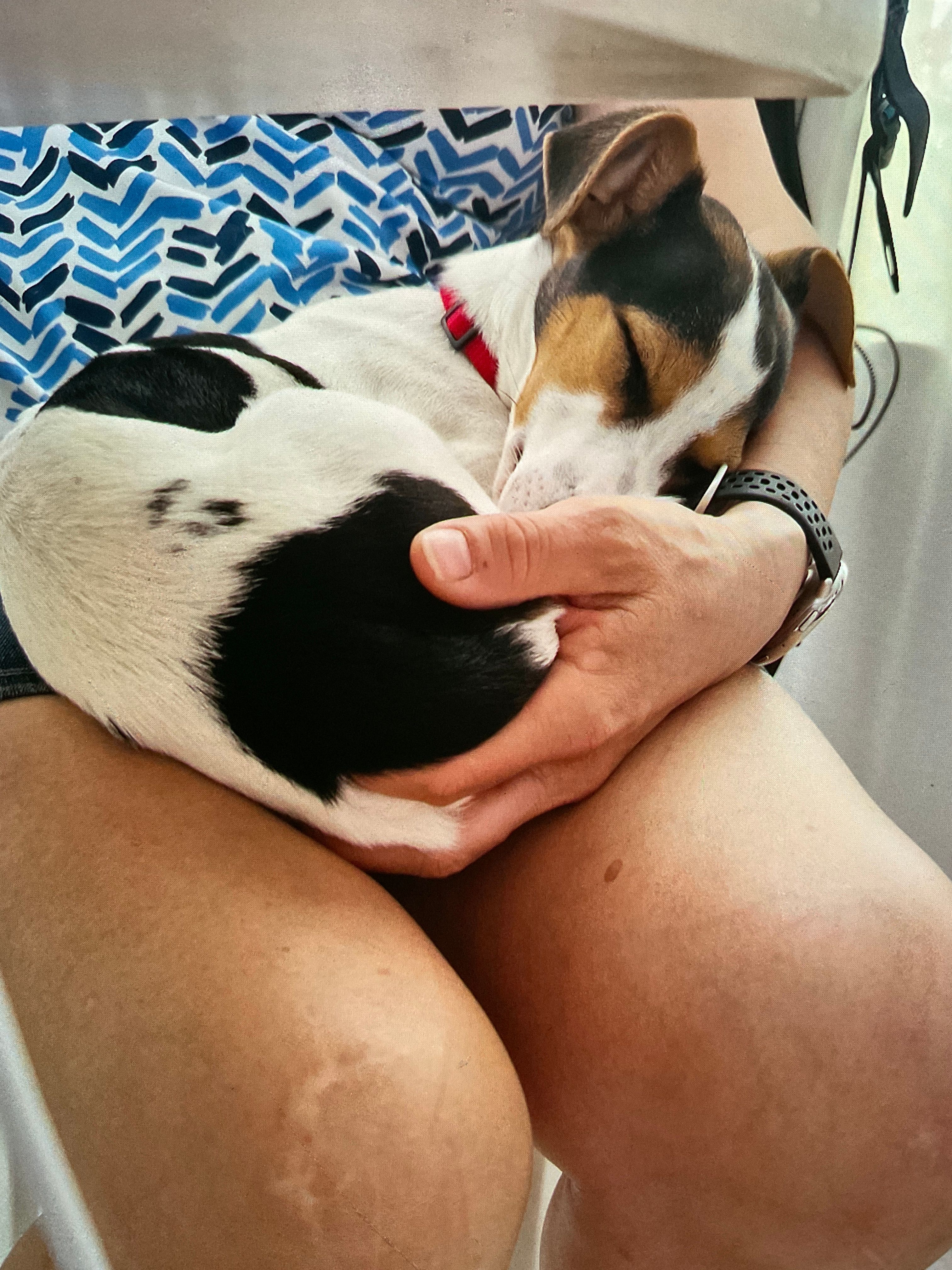 image-6