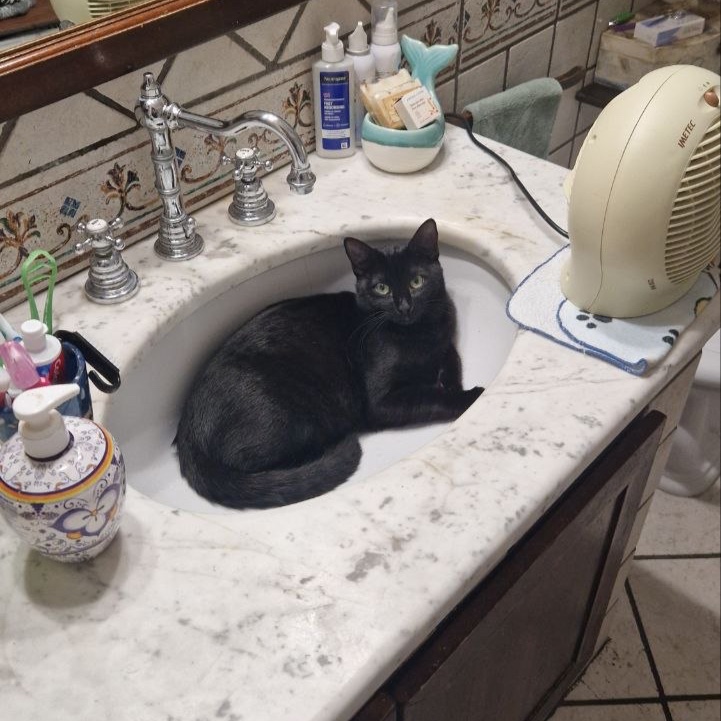 Loki