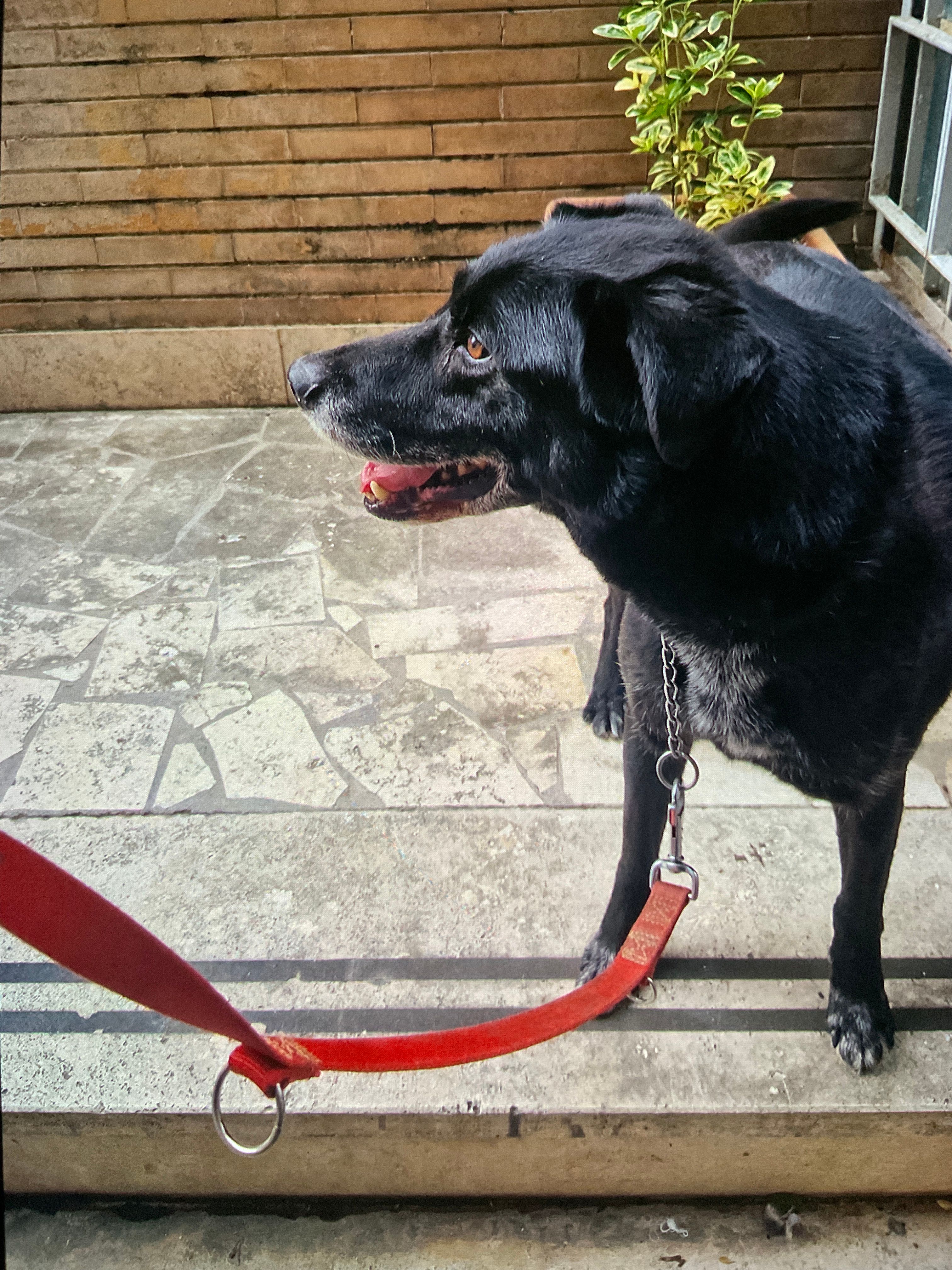 image-5