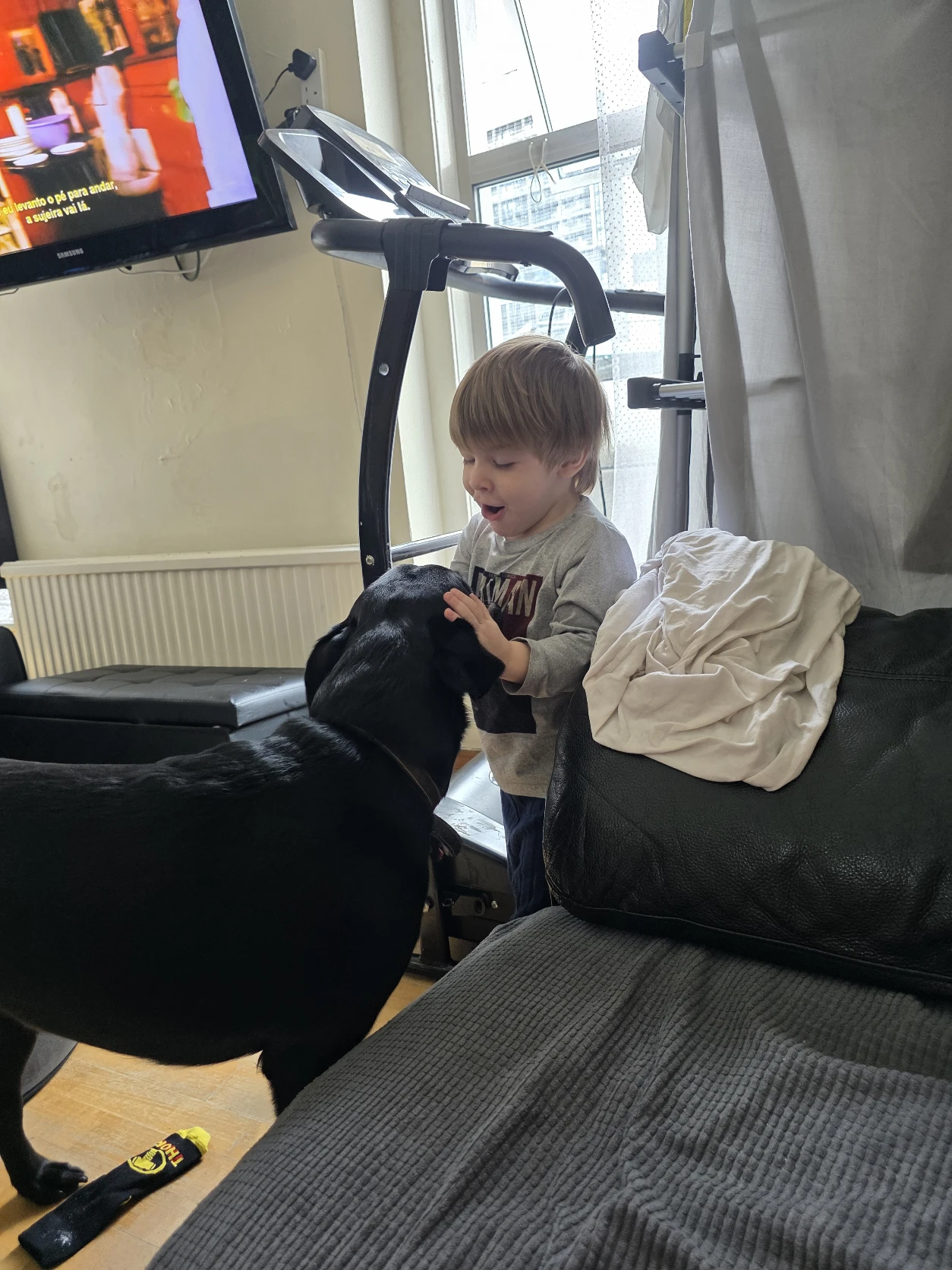 image-24