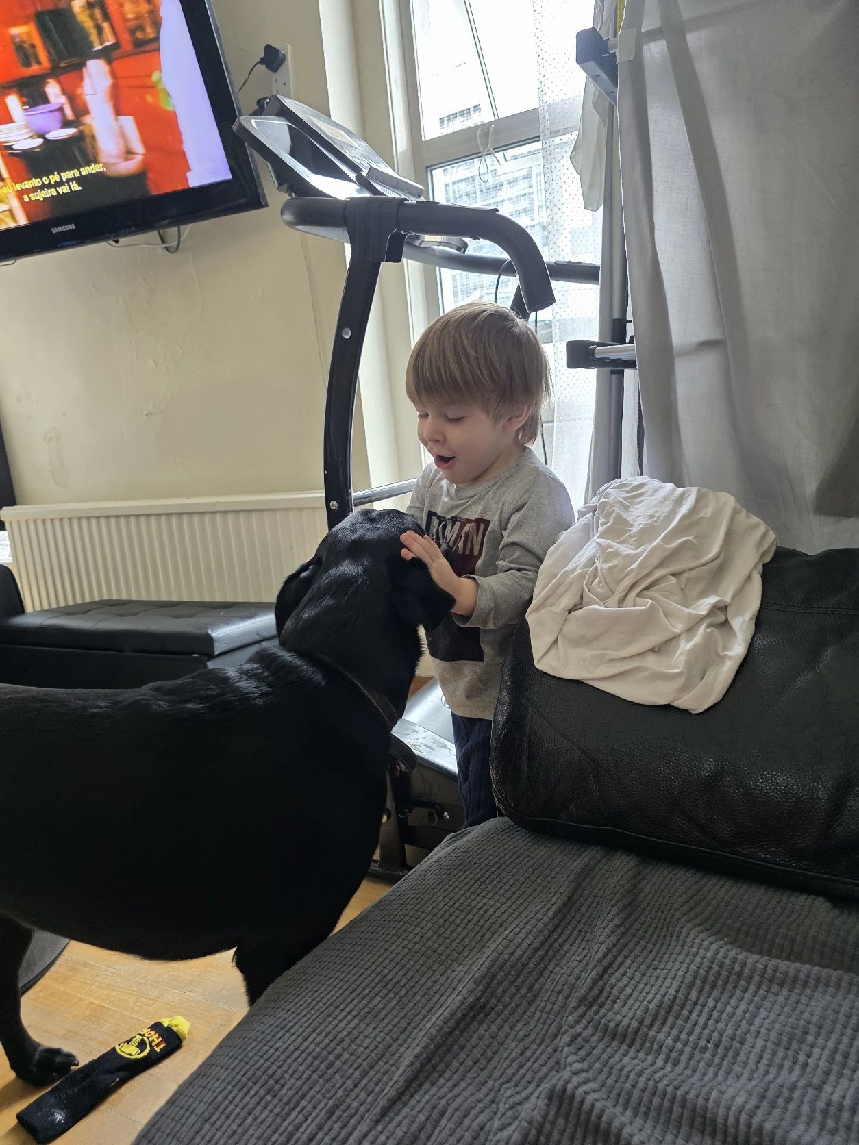 image-24