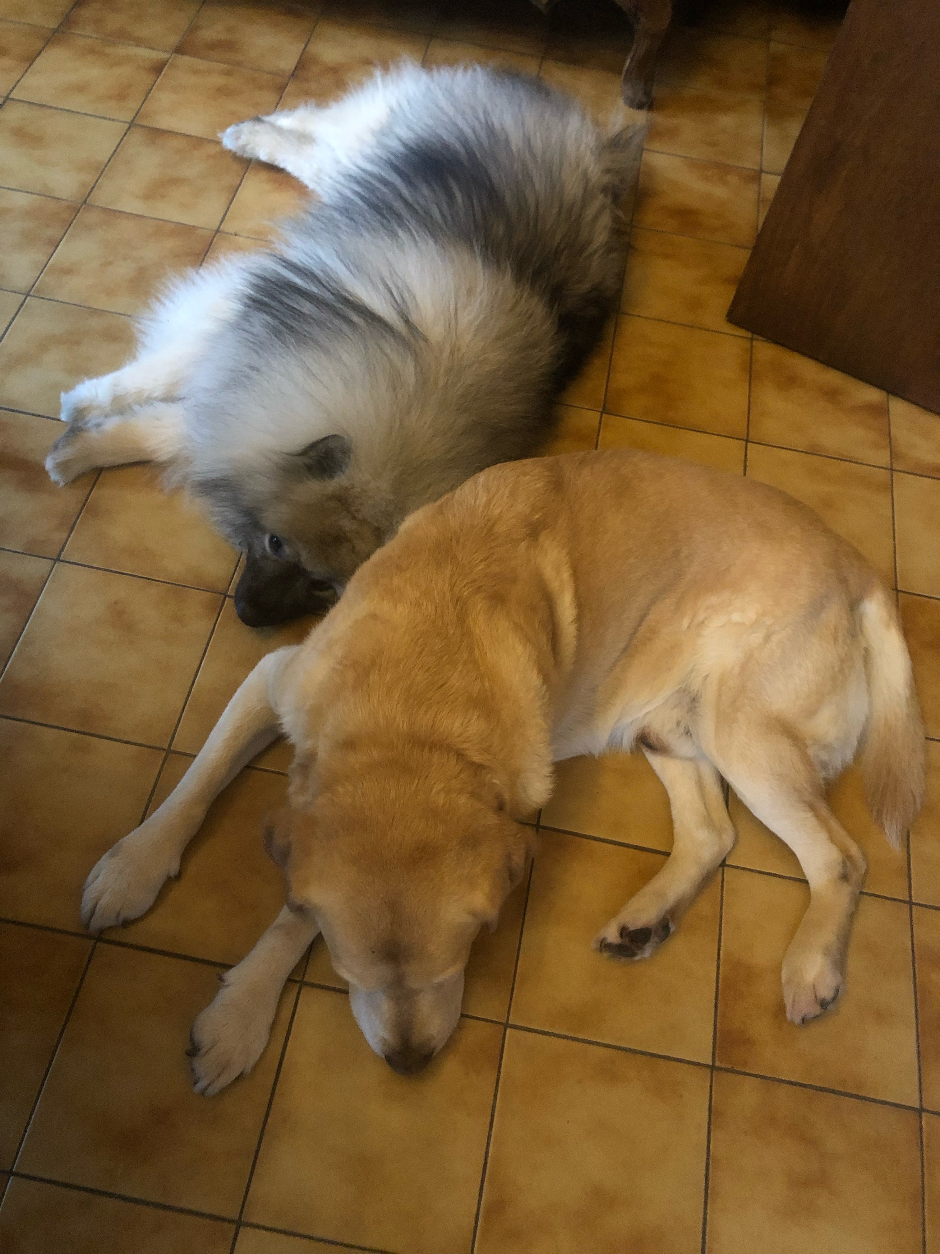 image-41