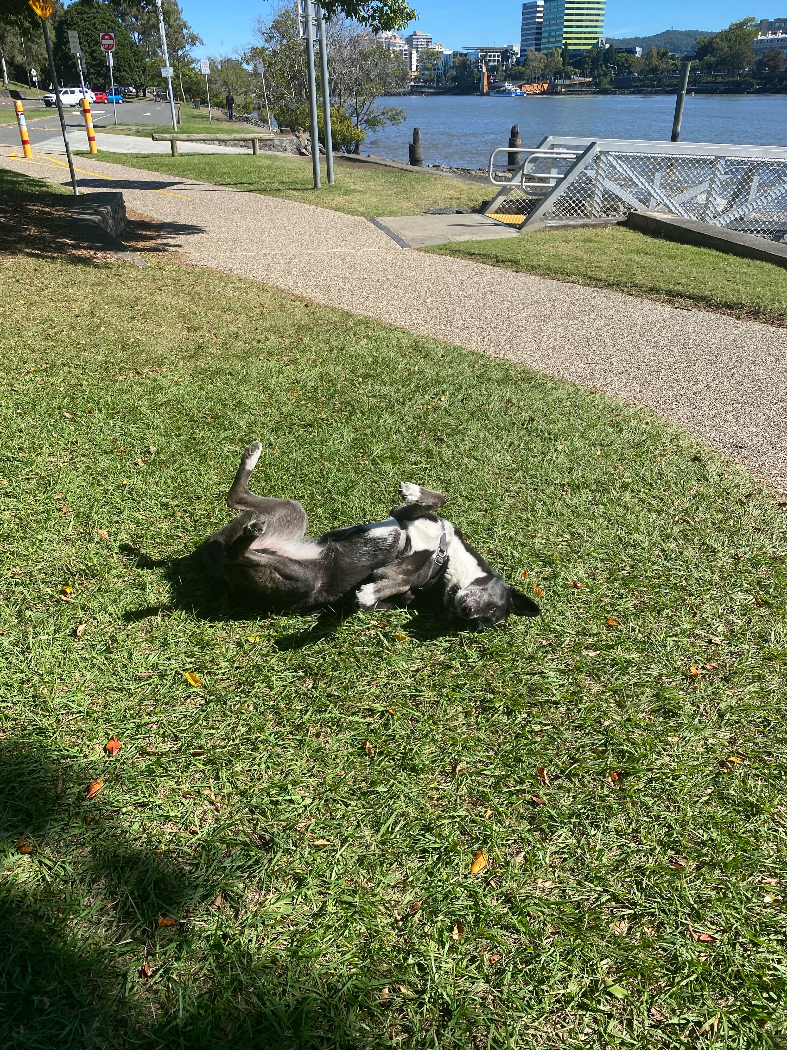image-52