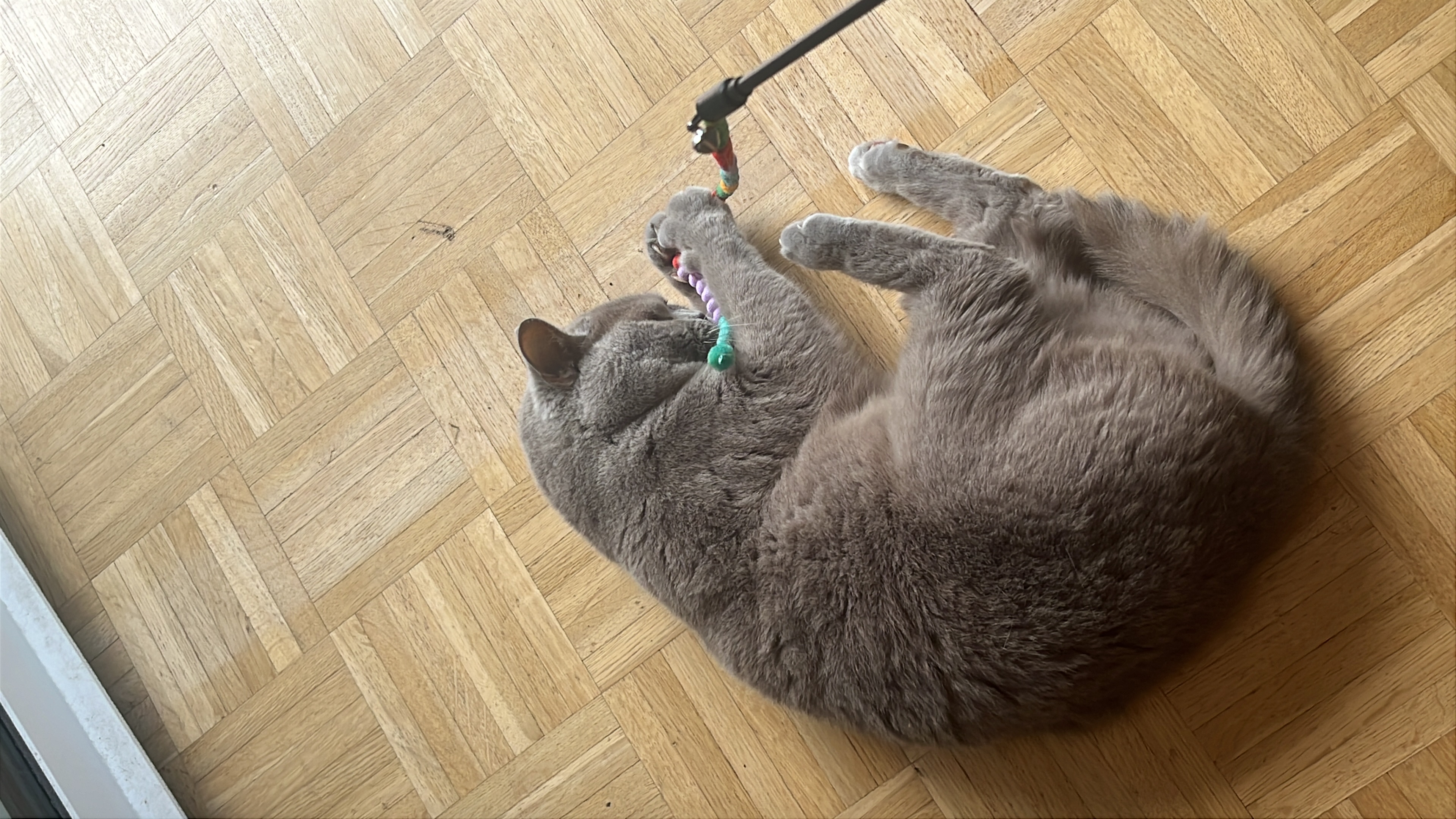 image-1