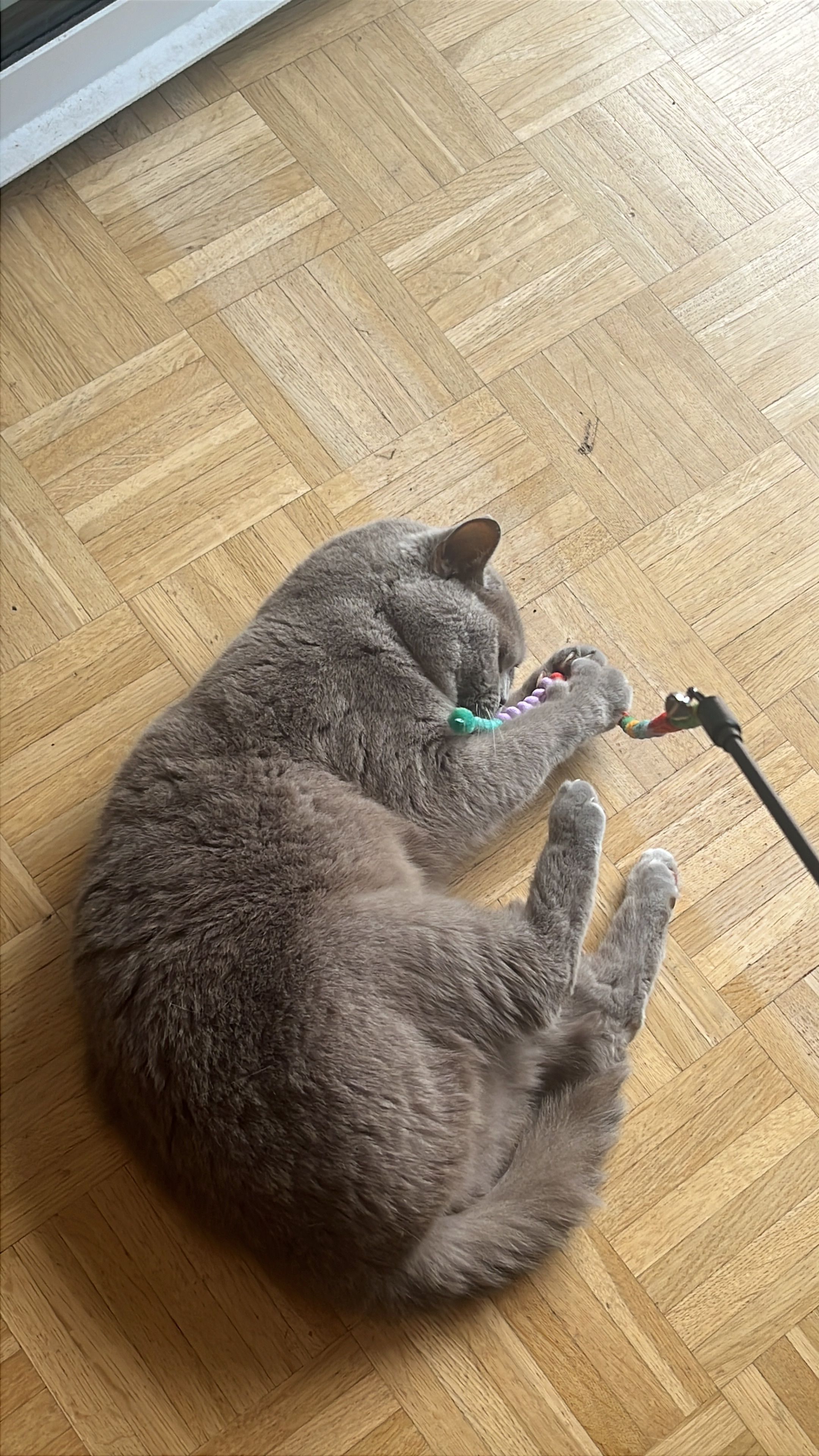 image-1