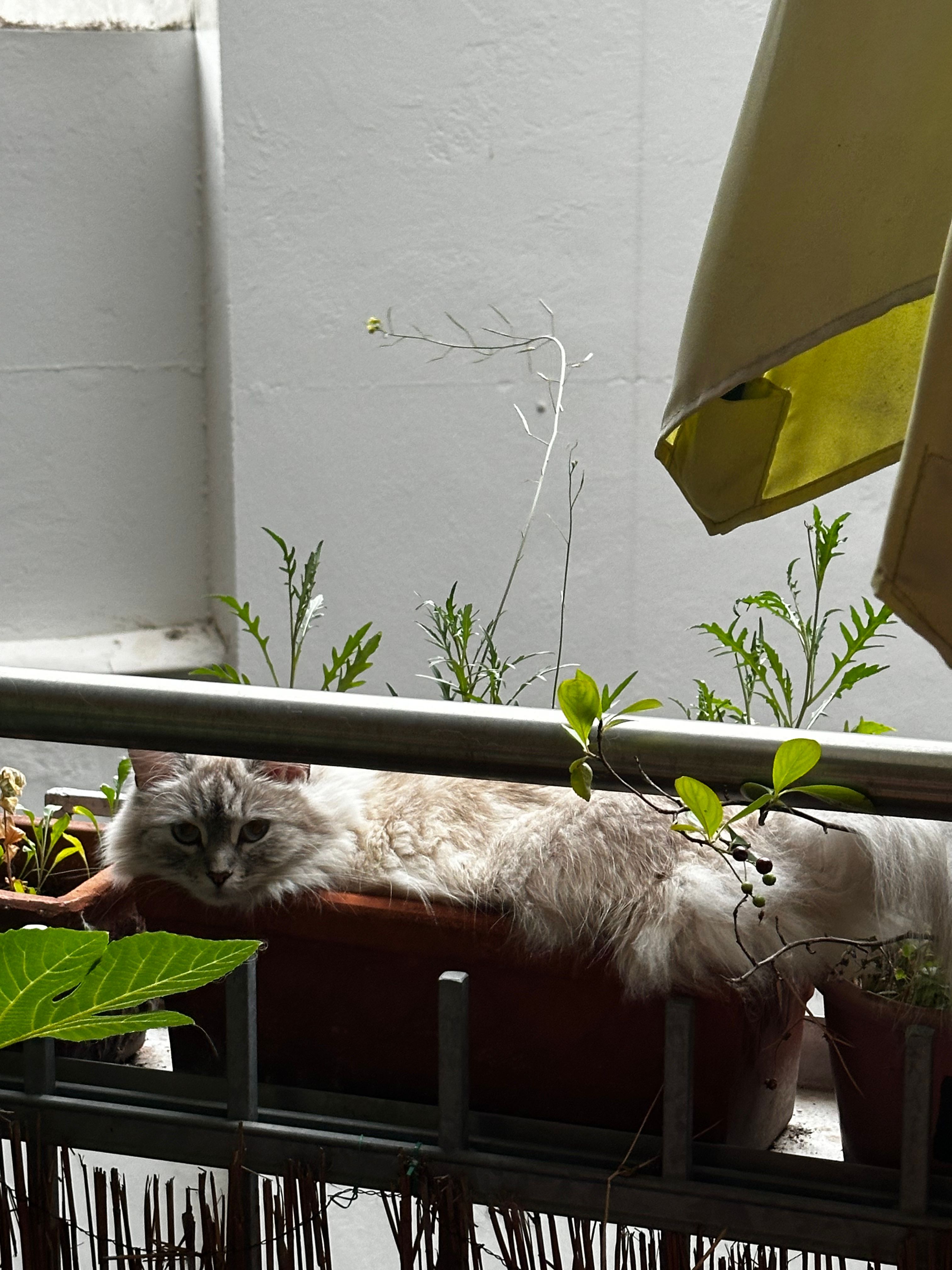 image-13