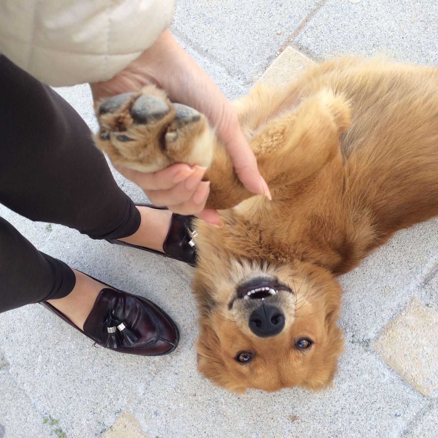 image-8