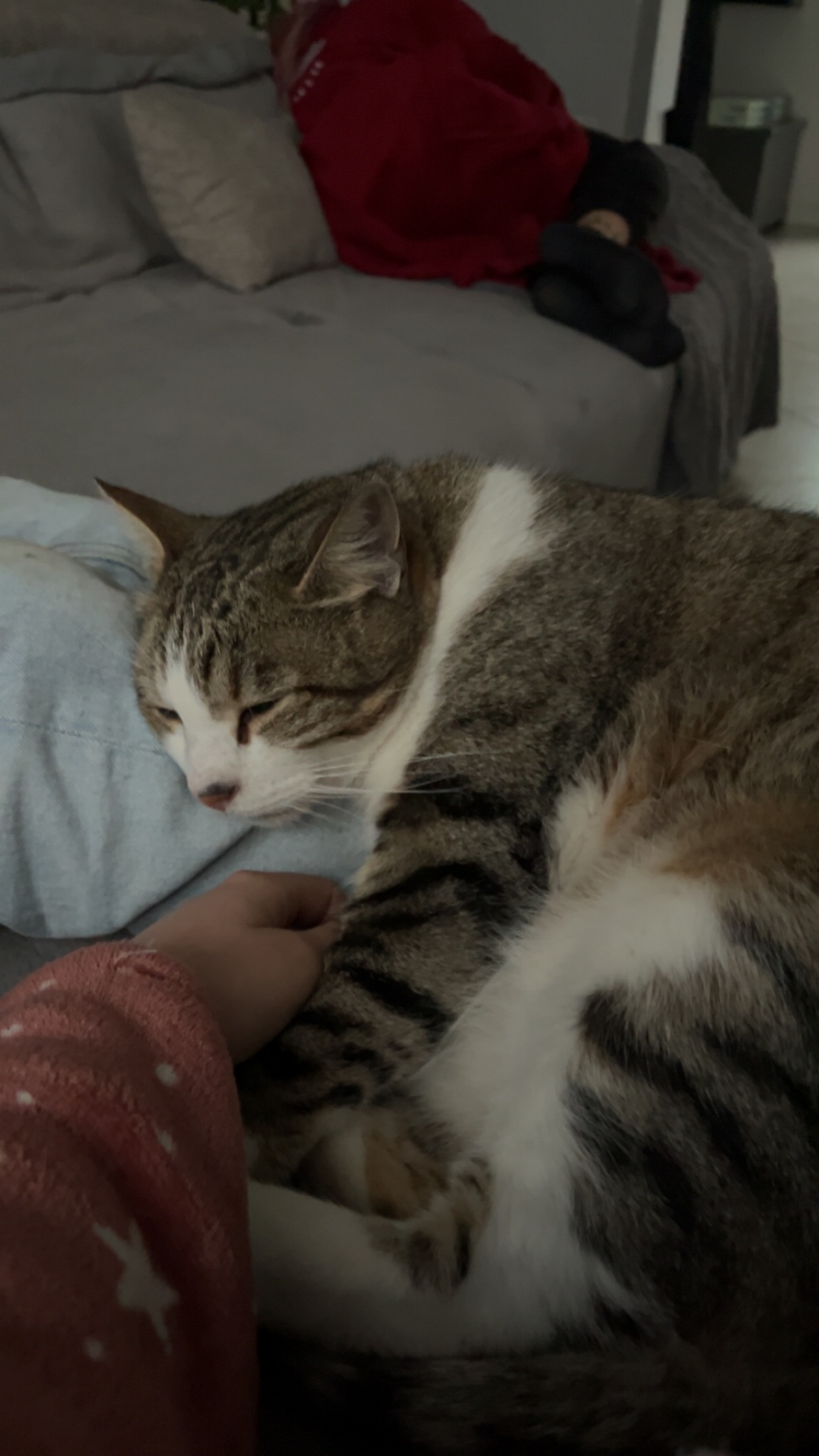 image-5