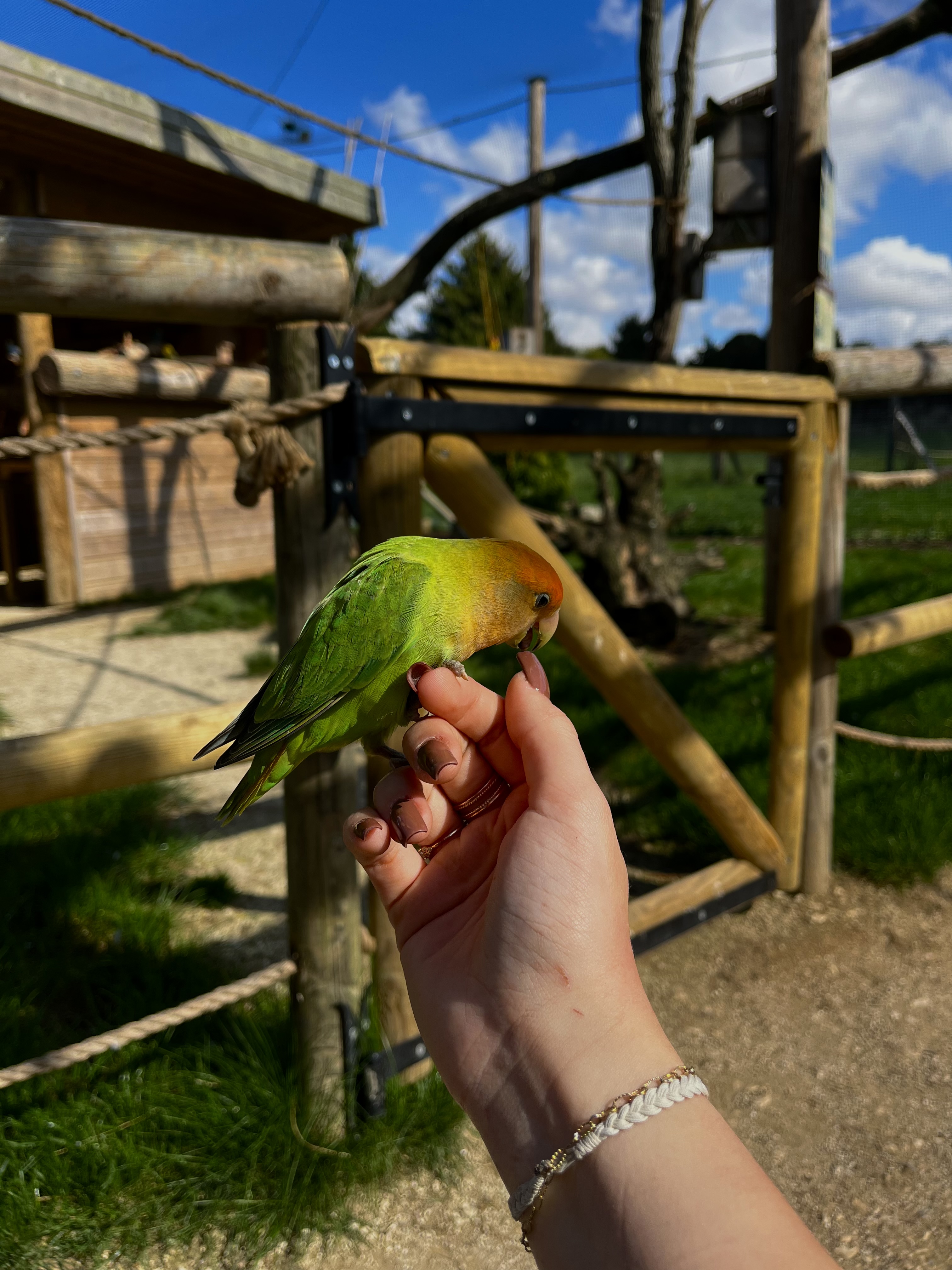 image-8