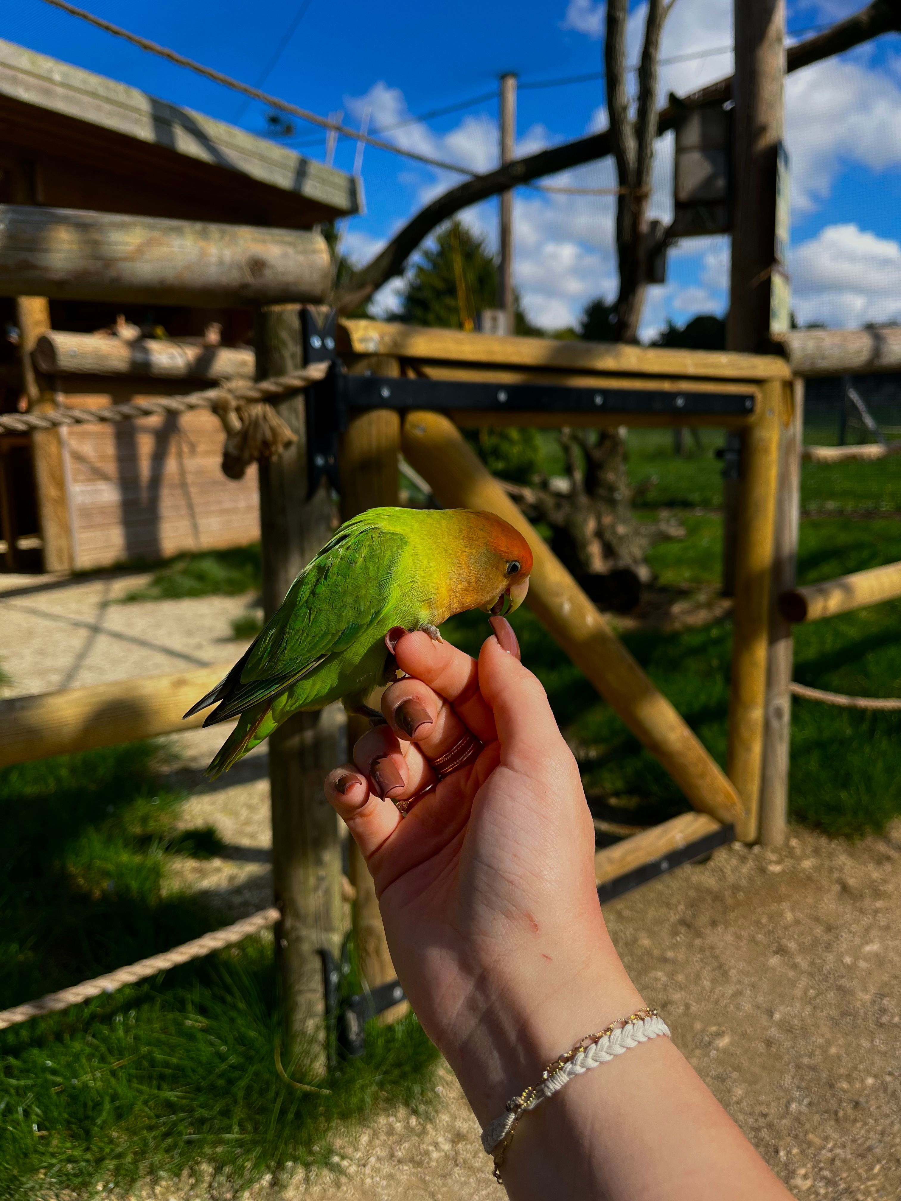 image-8