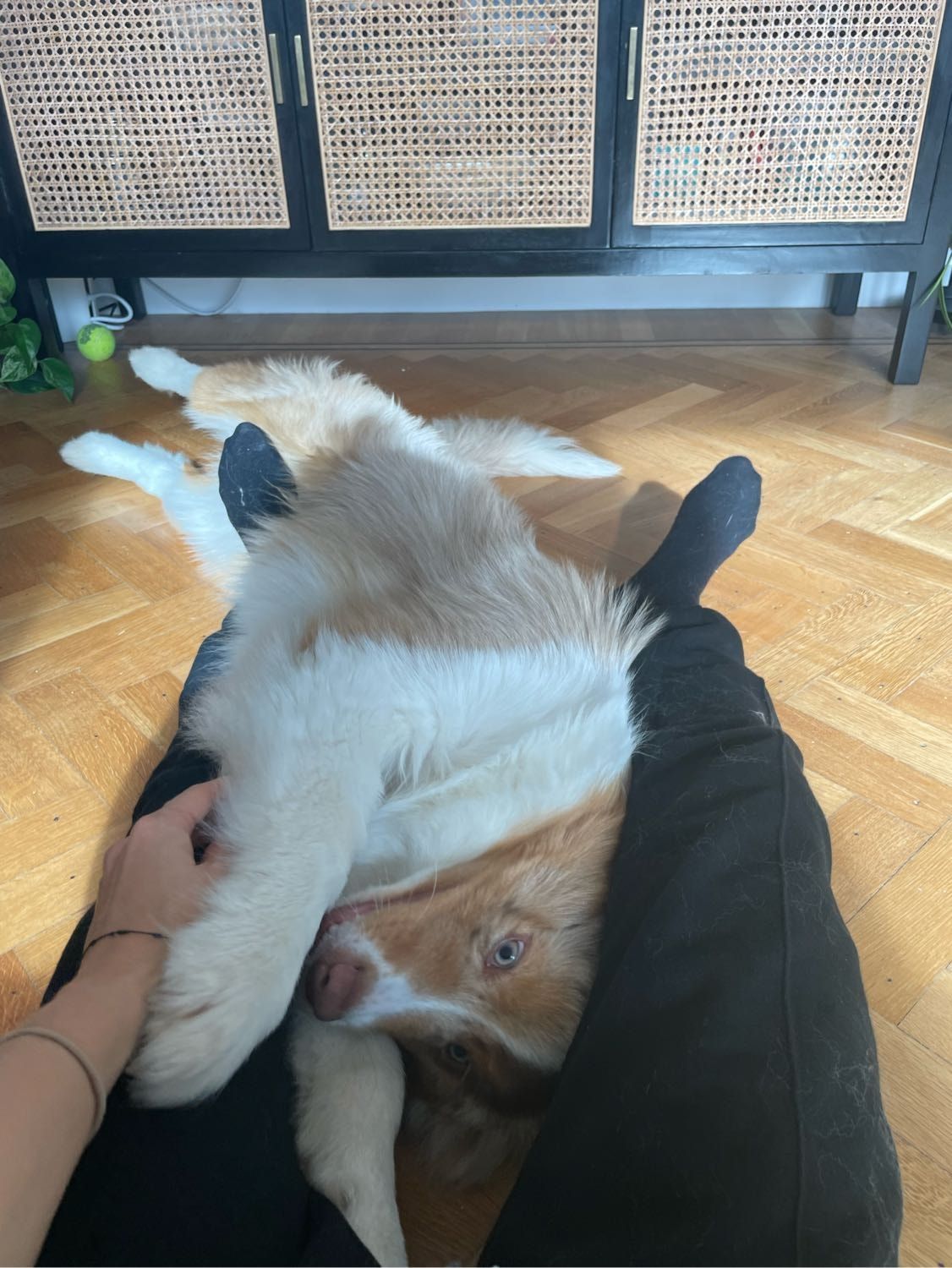 image-12
