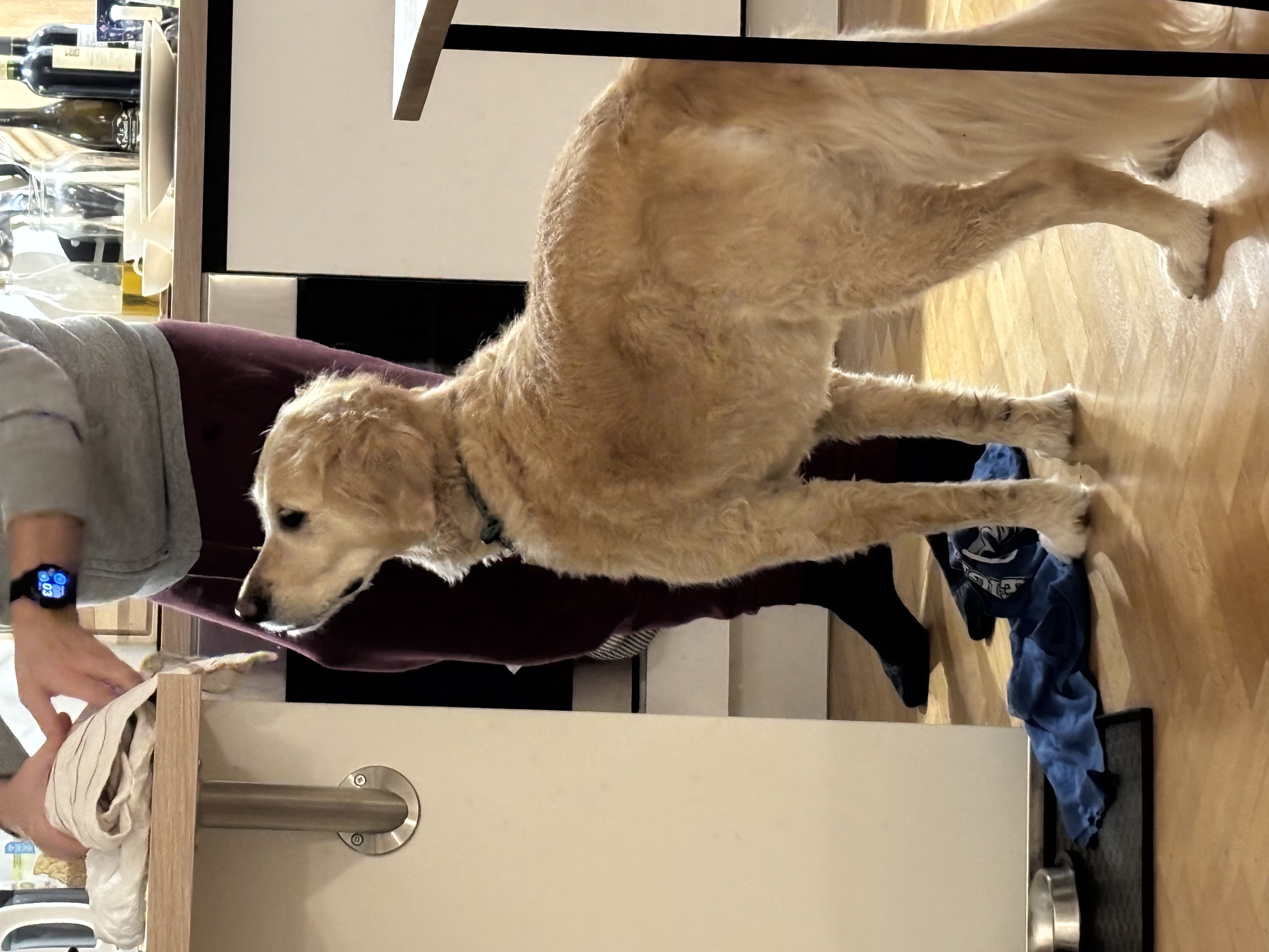 image-42