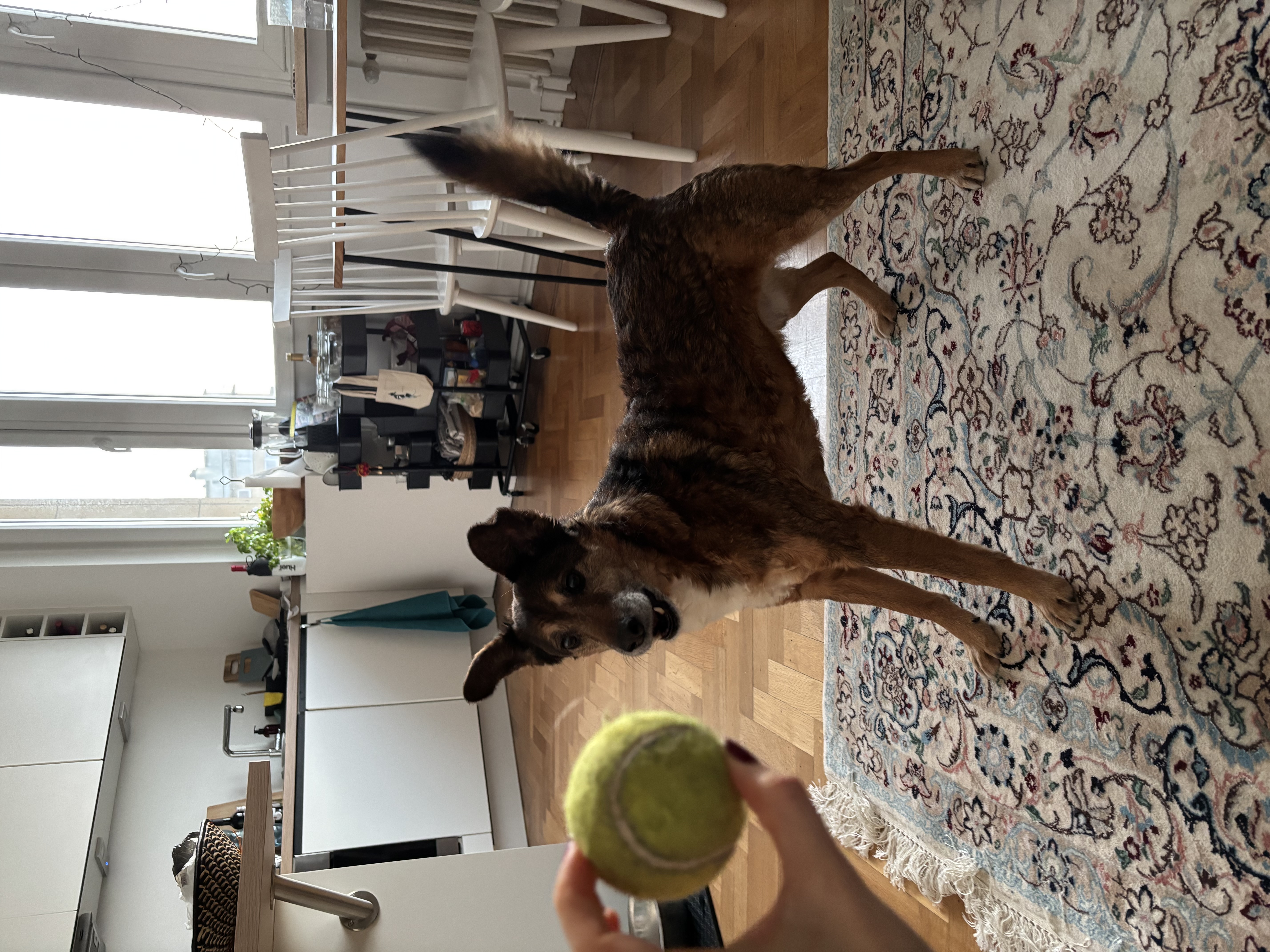 image-38