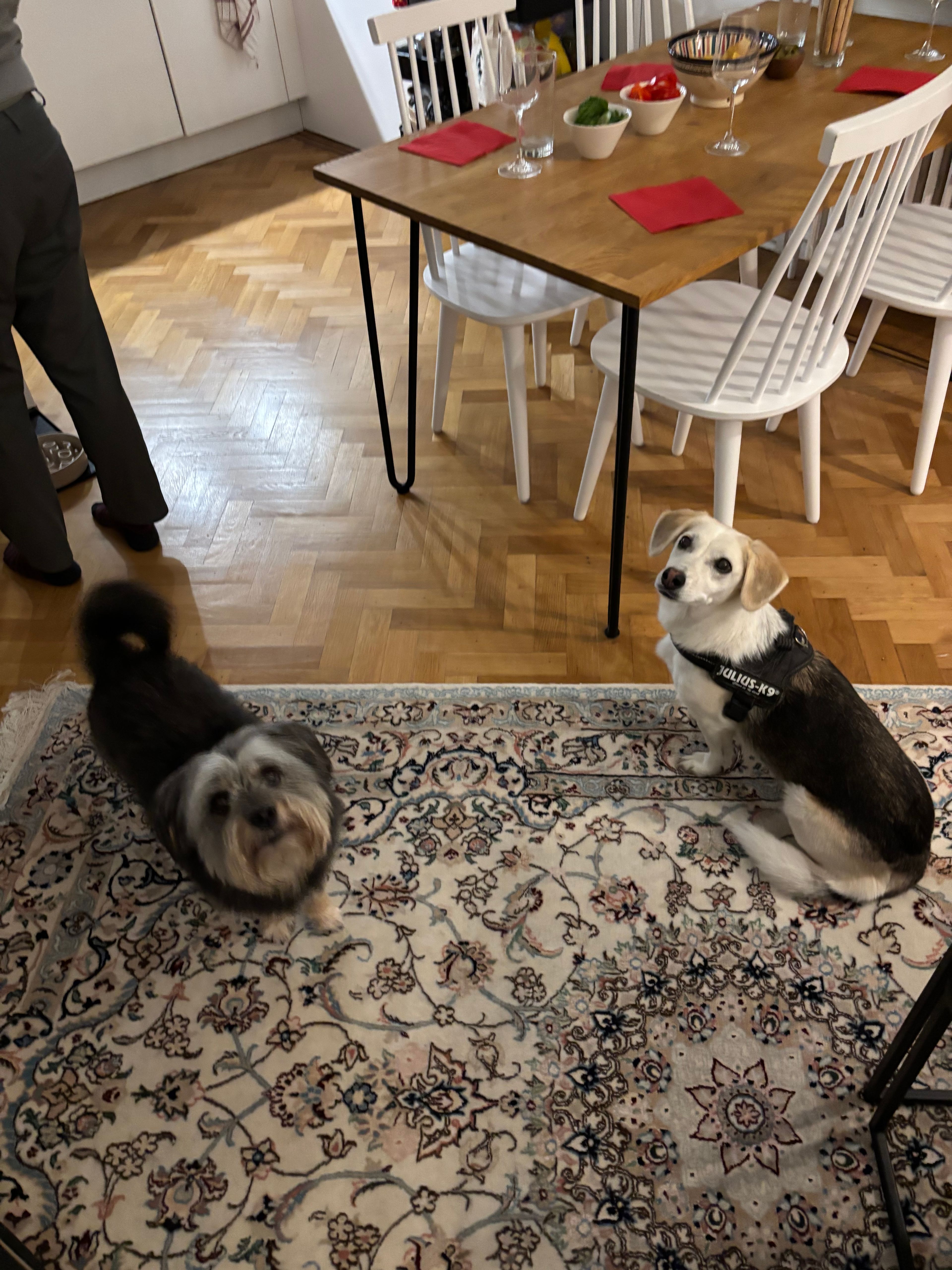 image-48