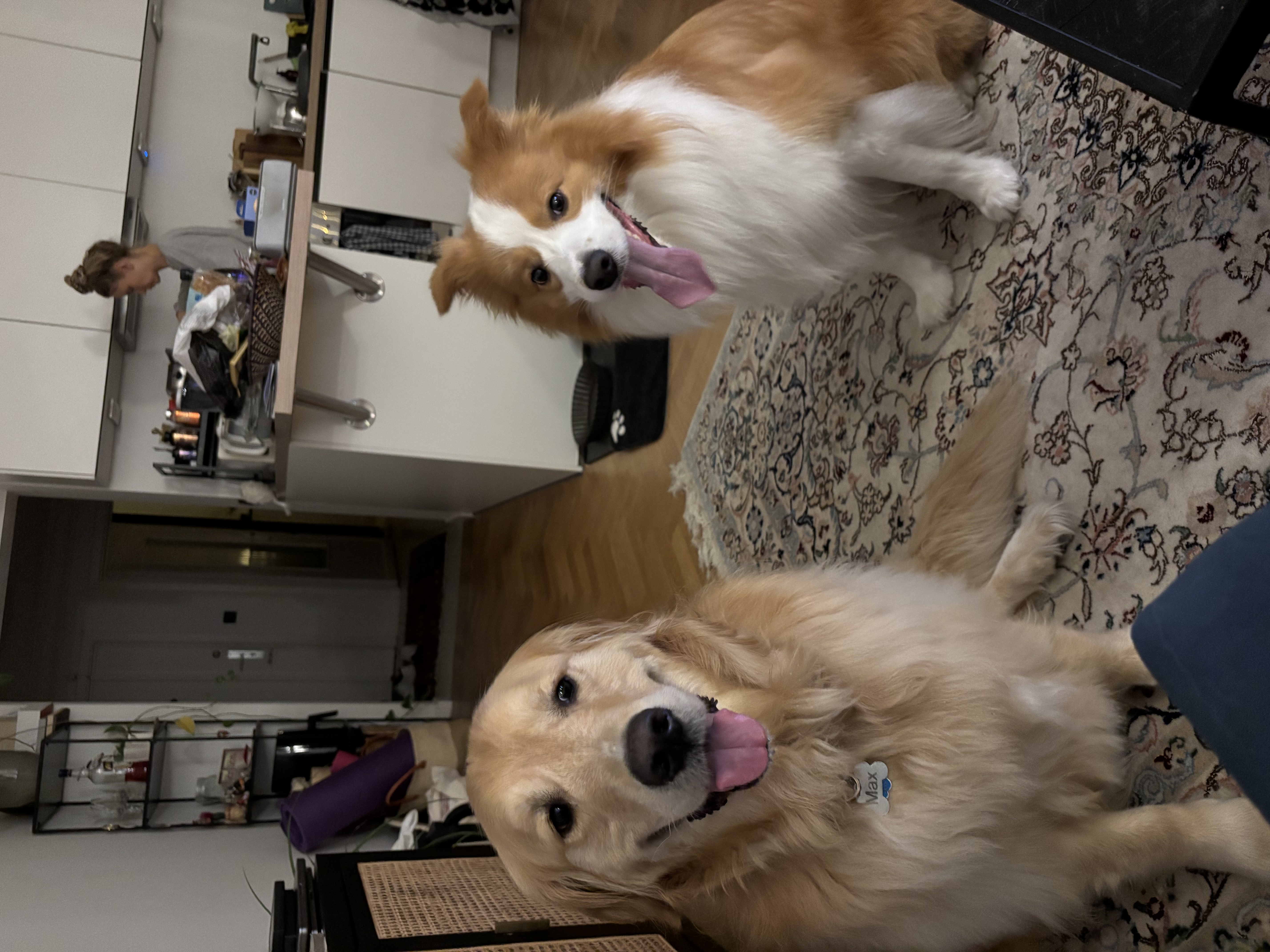 image-34