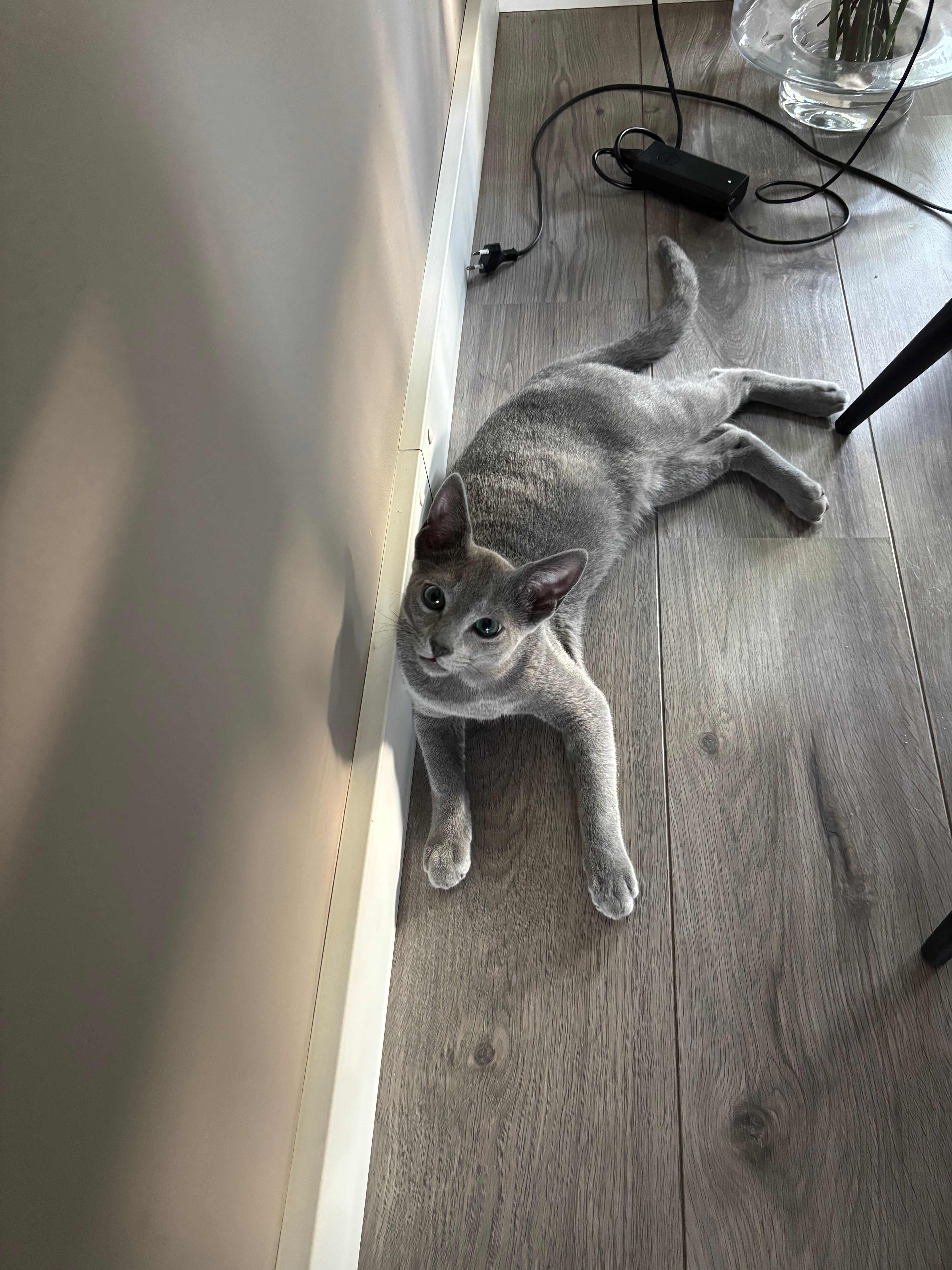 image-11