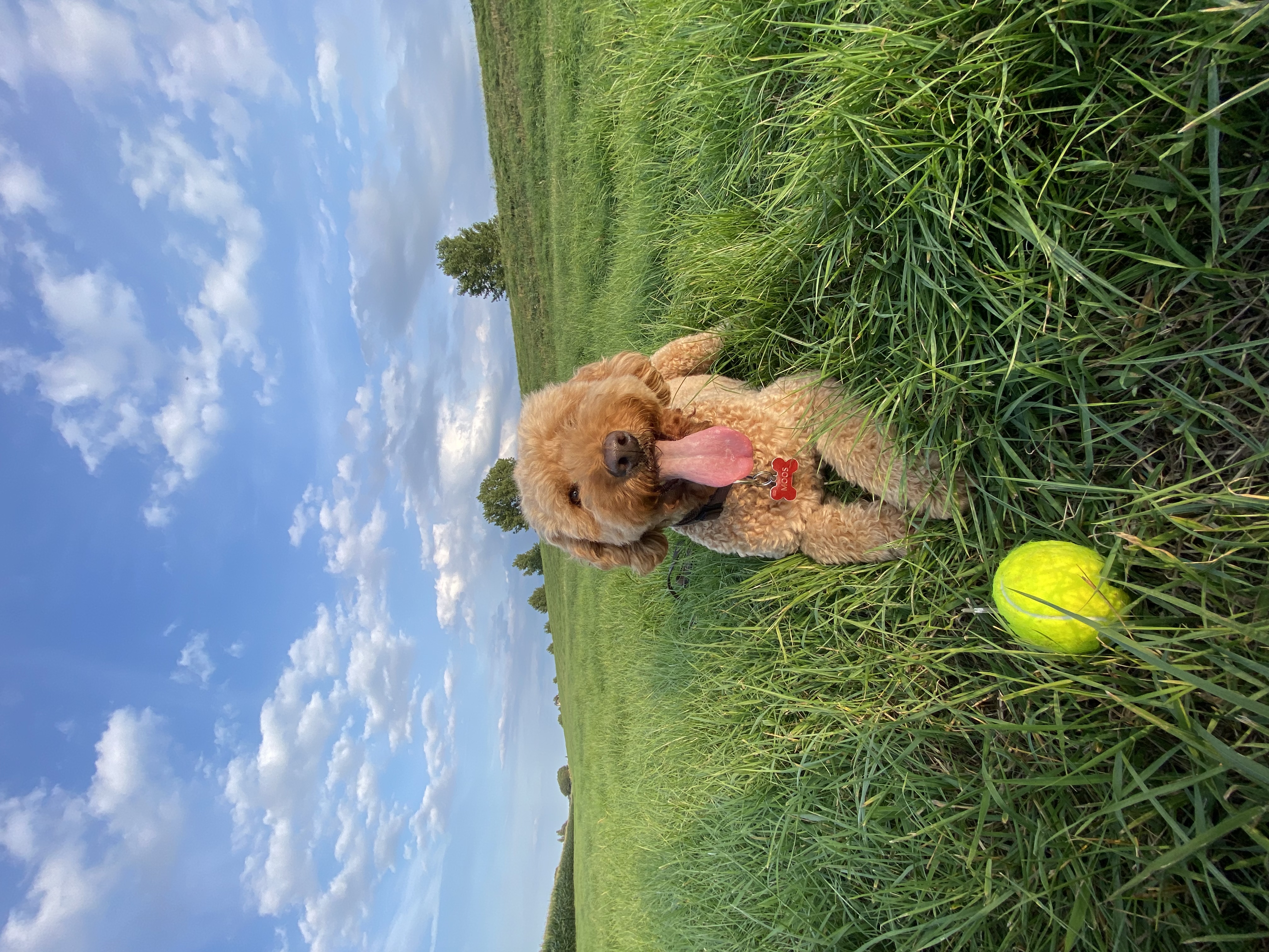 image-6