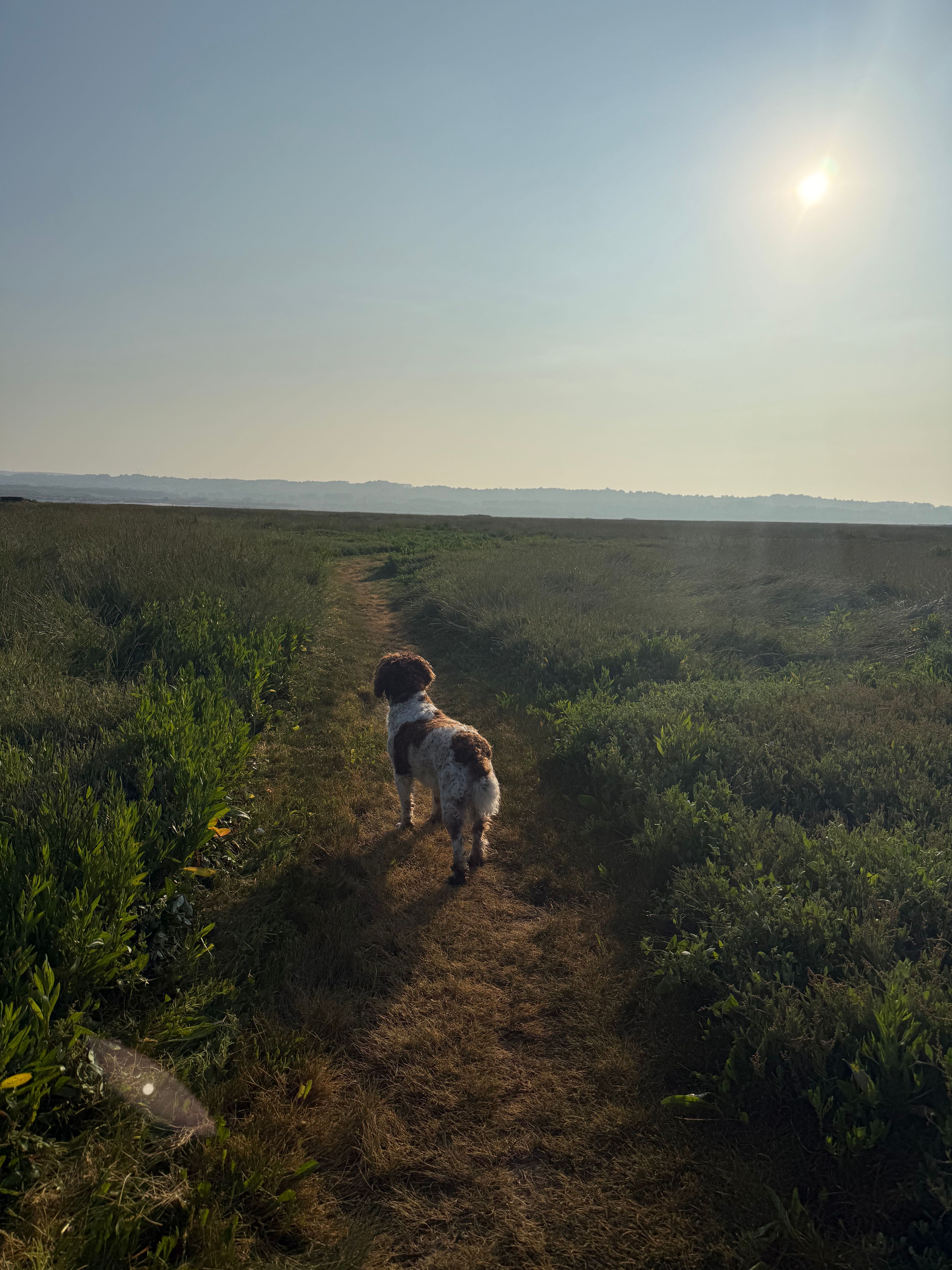 image-5