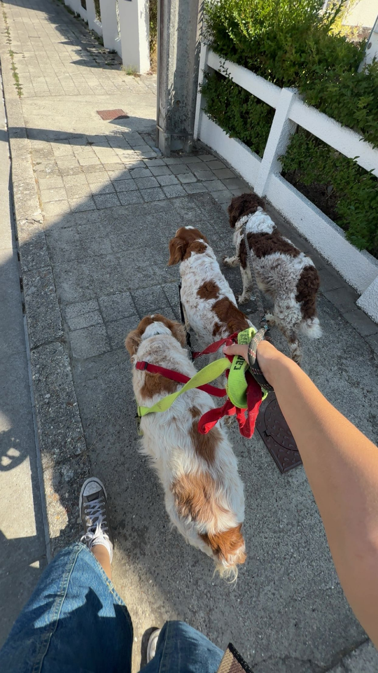 image-11