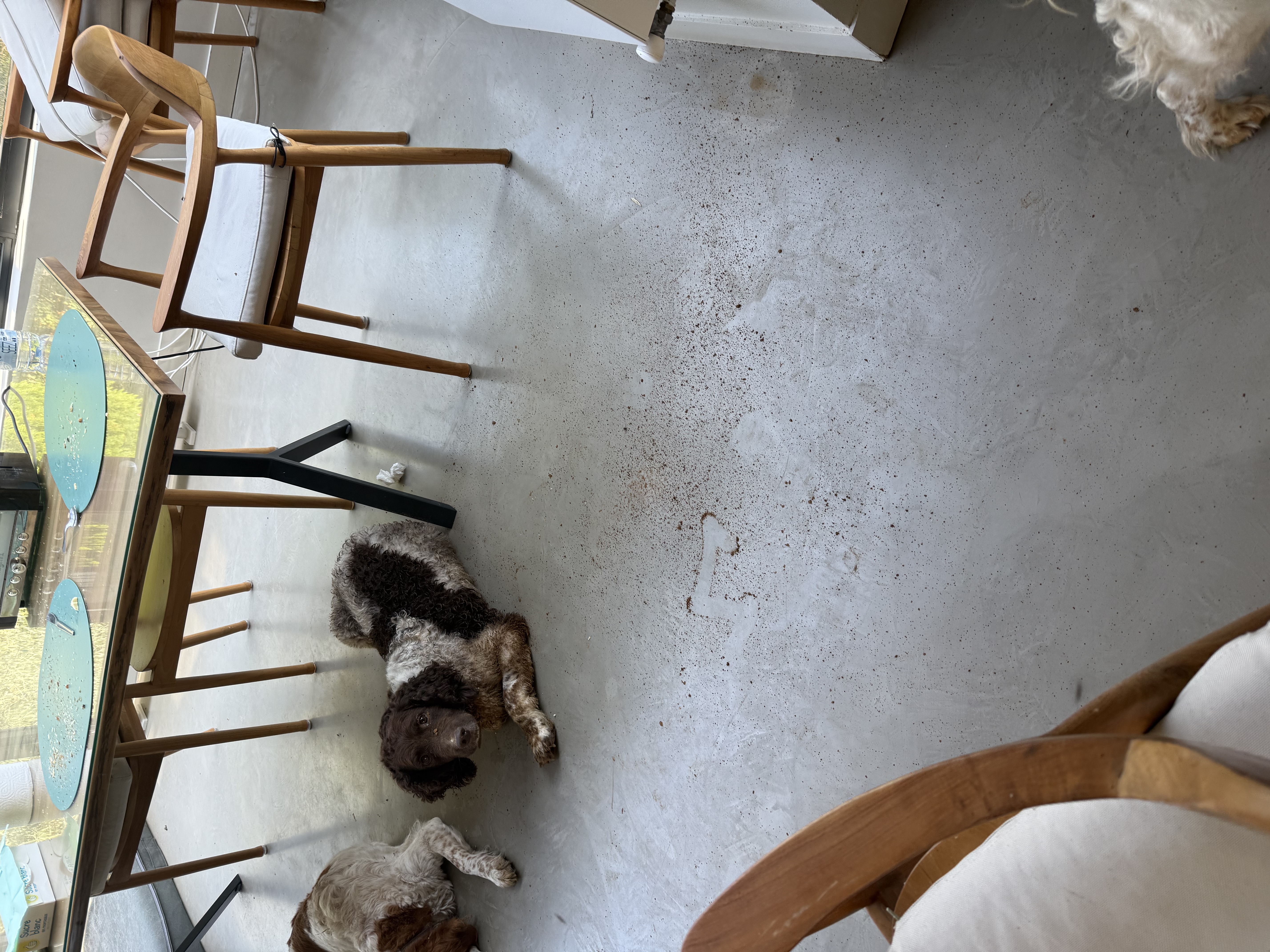 image-19