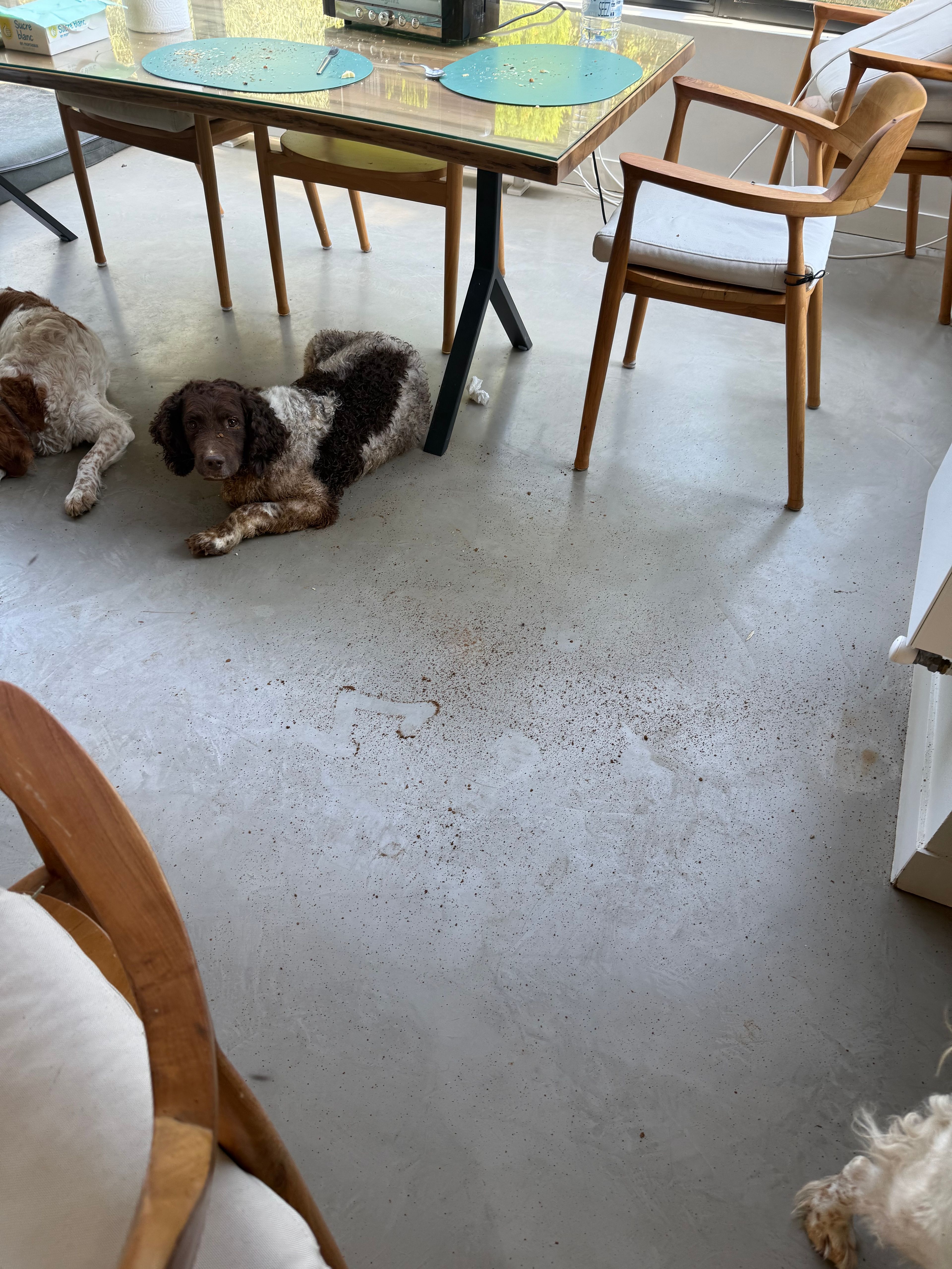 image-19