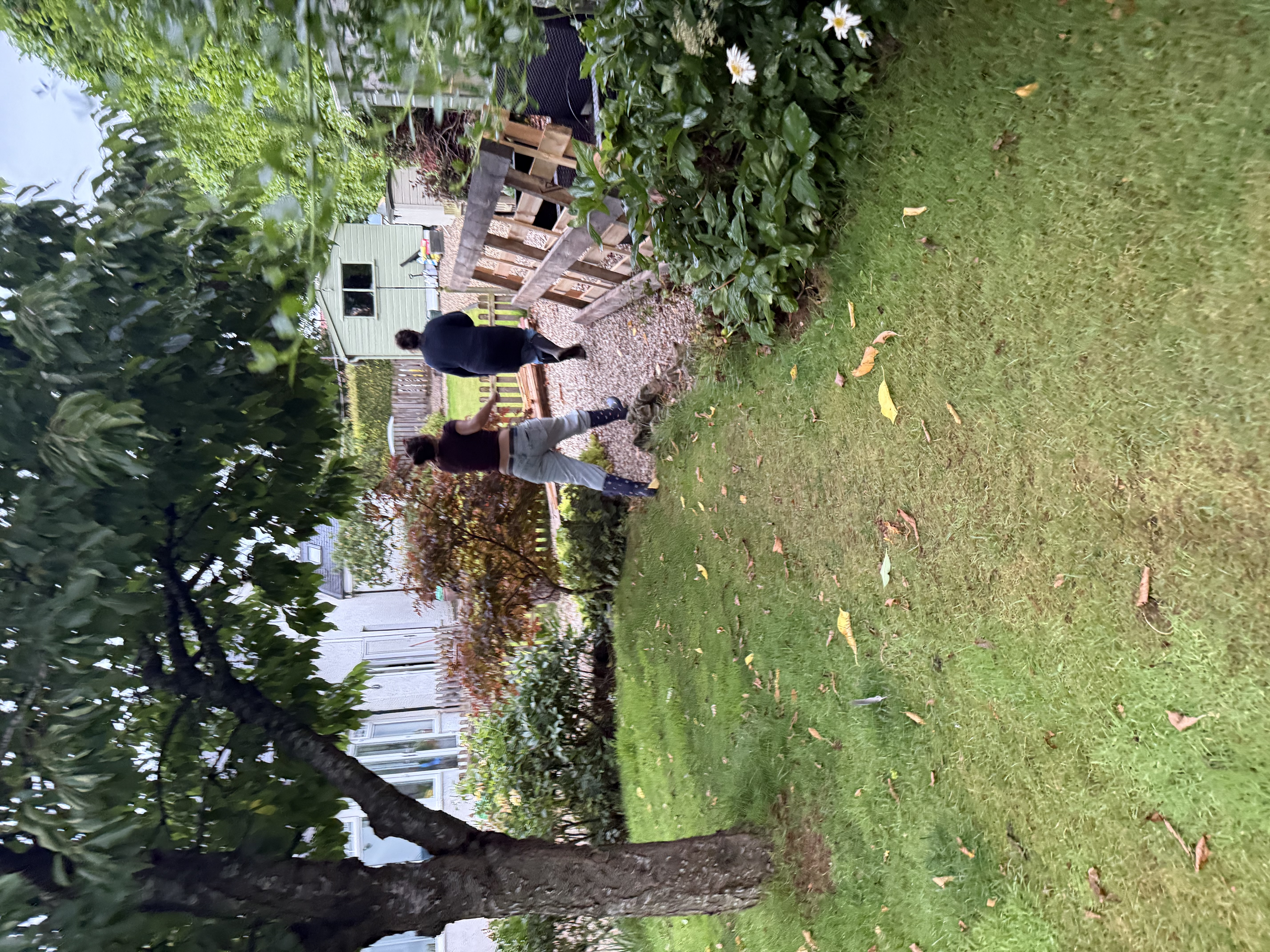 image-18