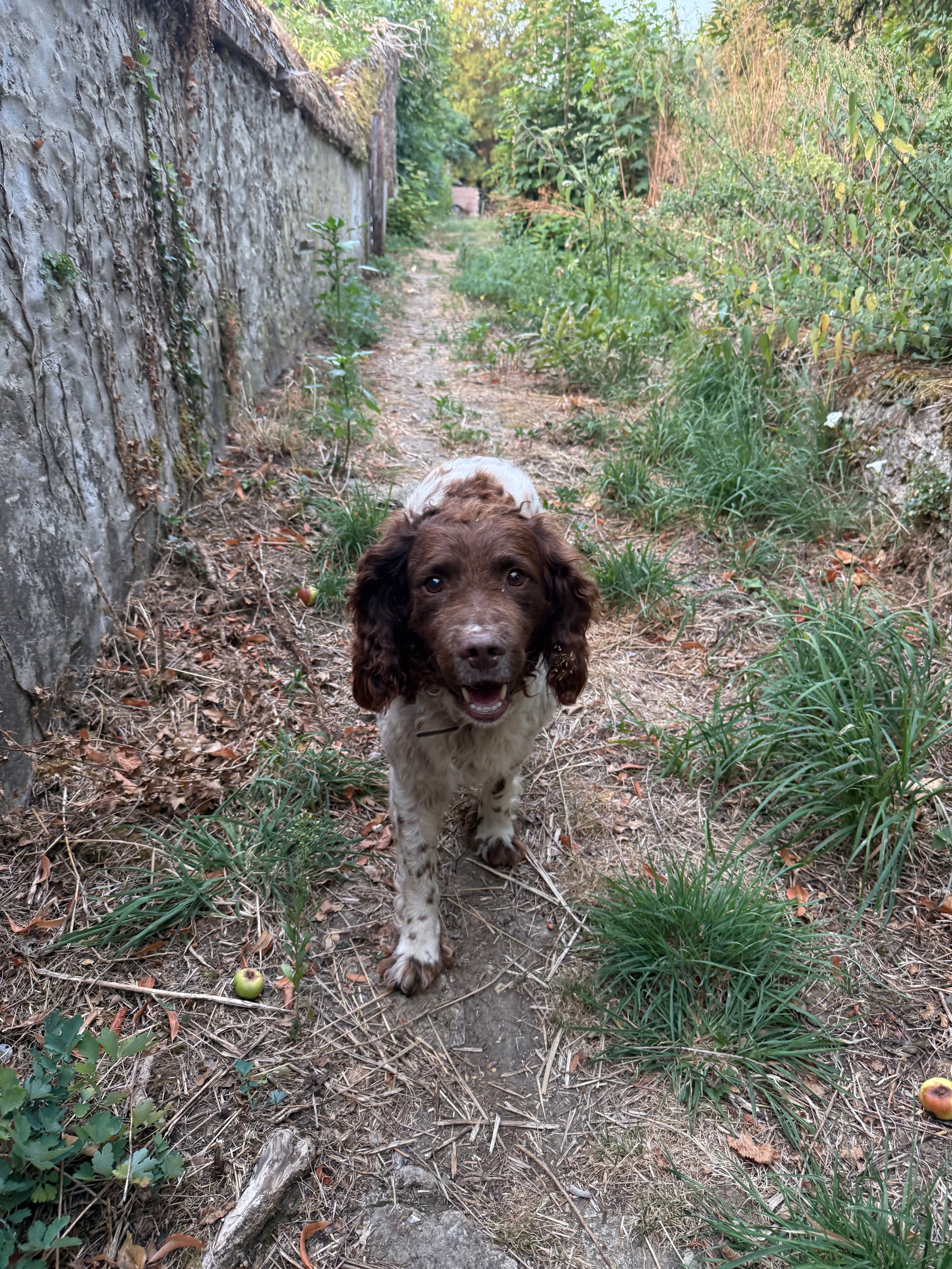 image-21