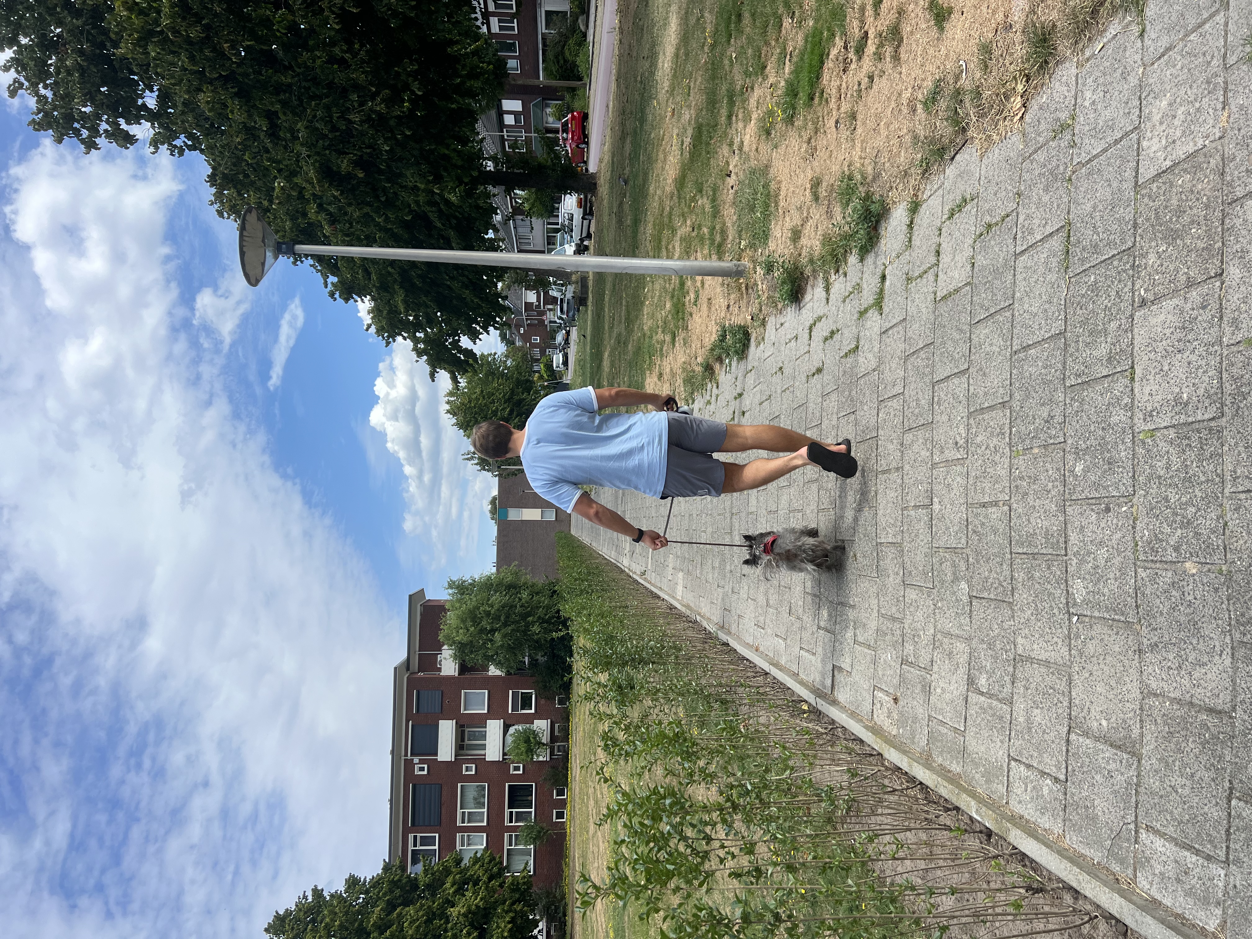 image-19