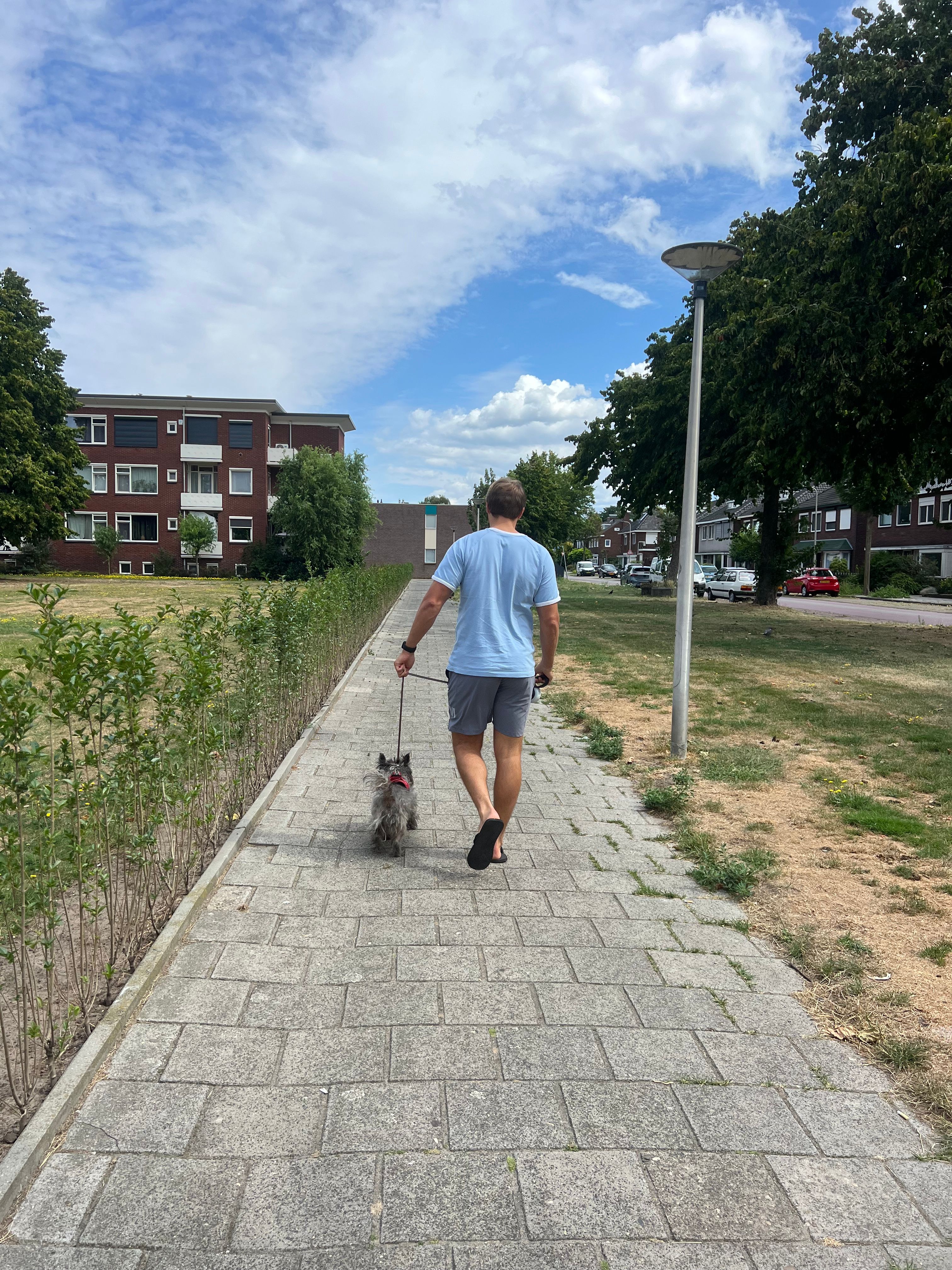 image-19