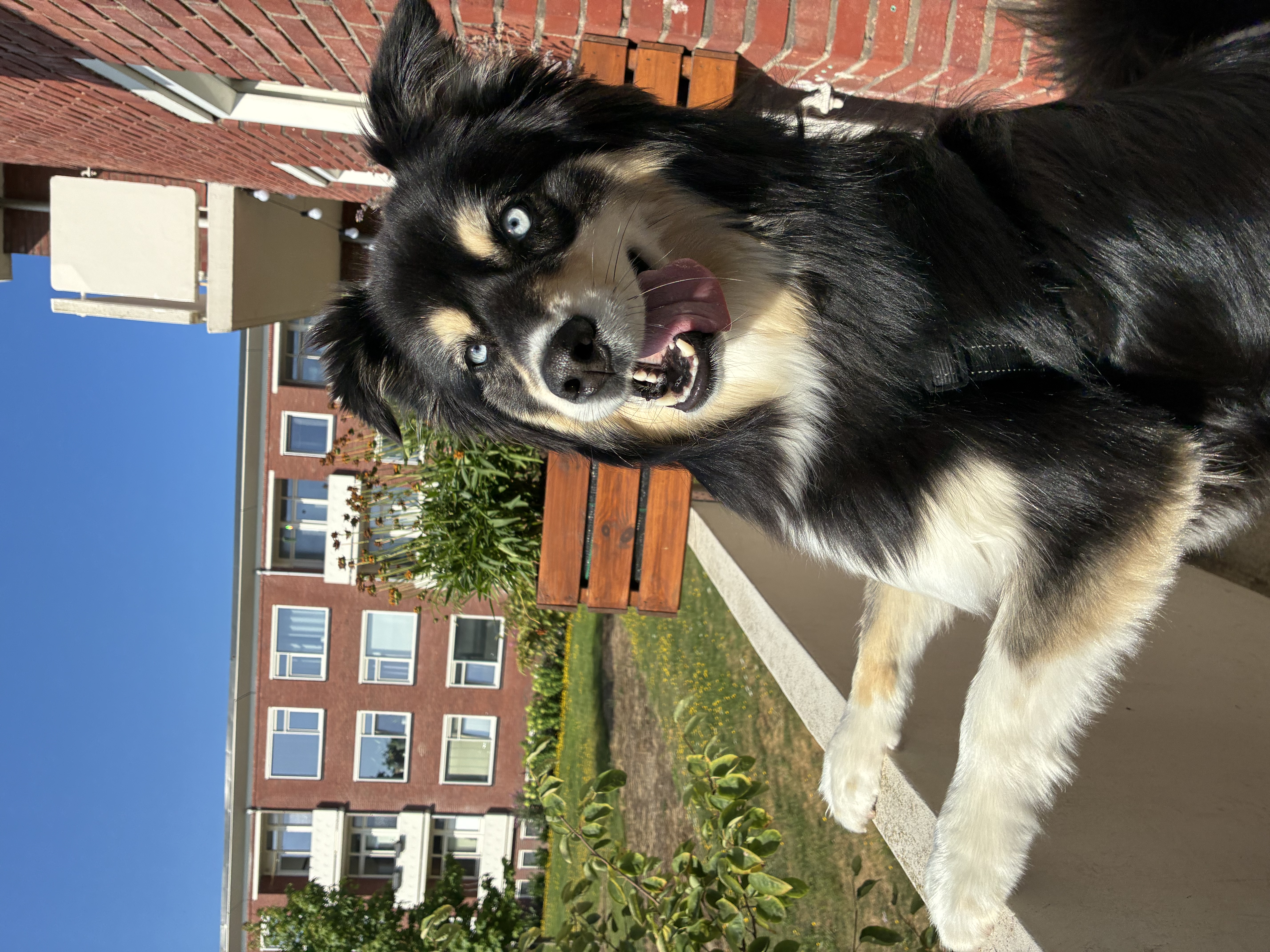 image-8