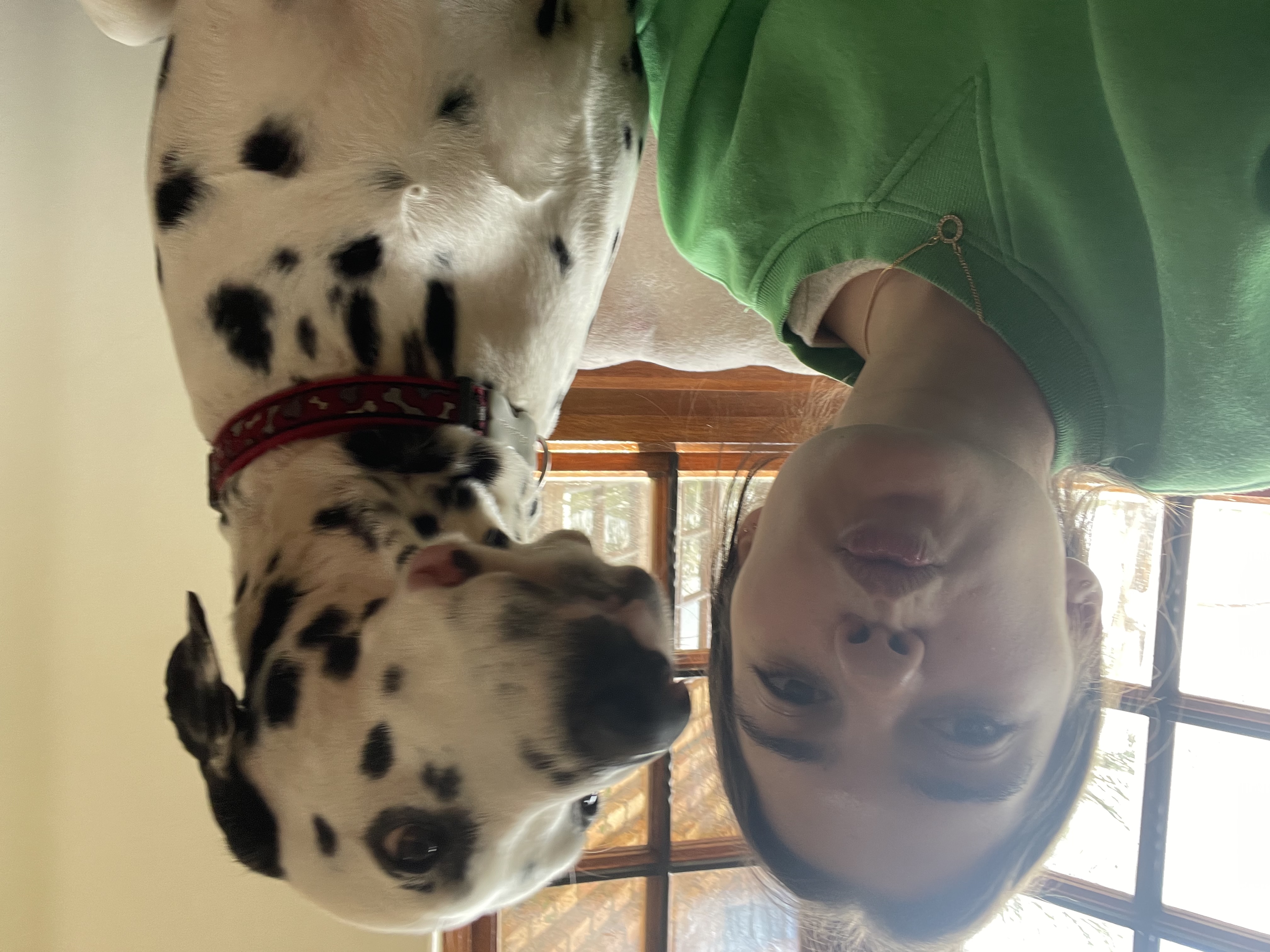 image-6