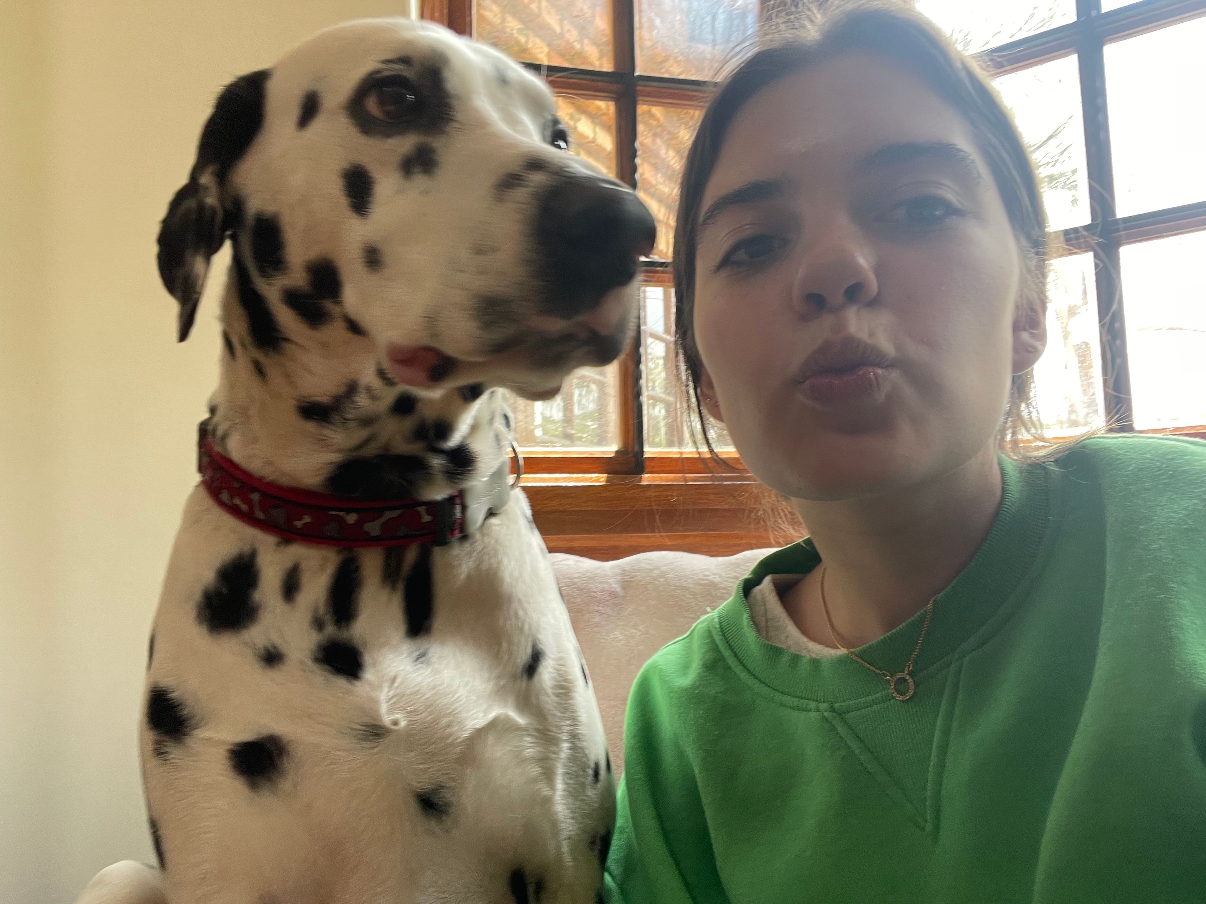 image-6