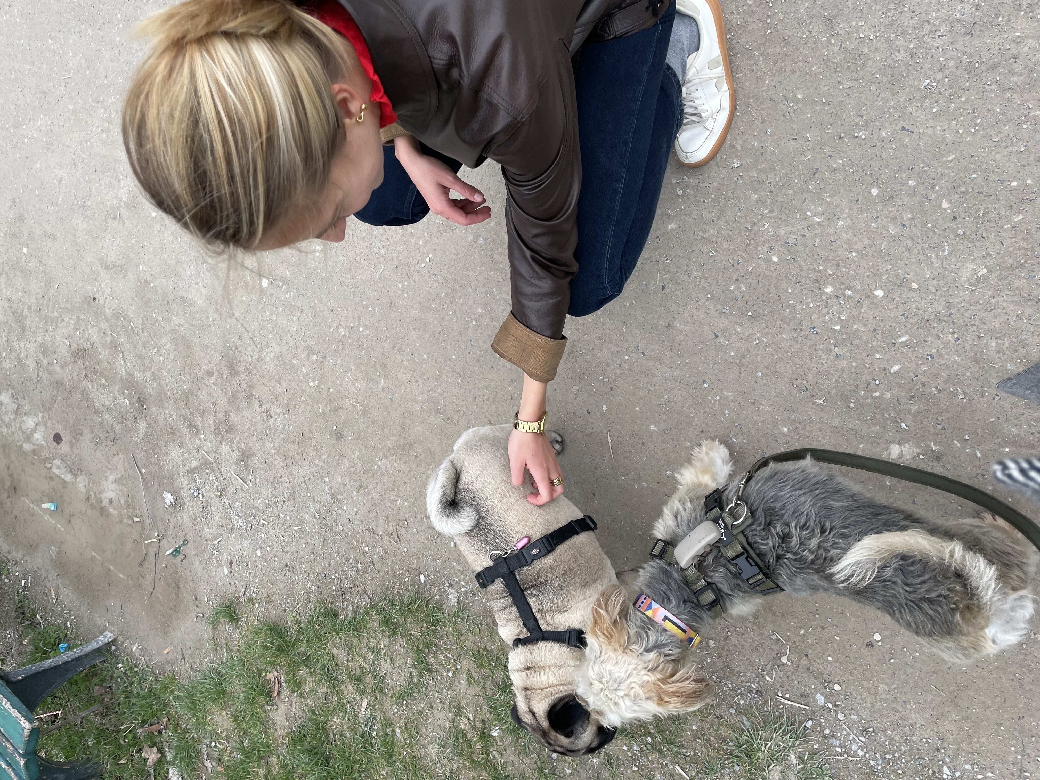 image-7