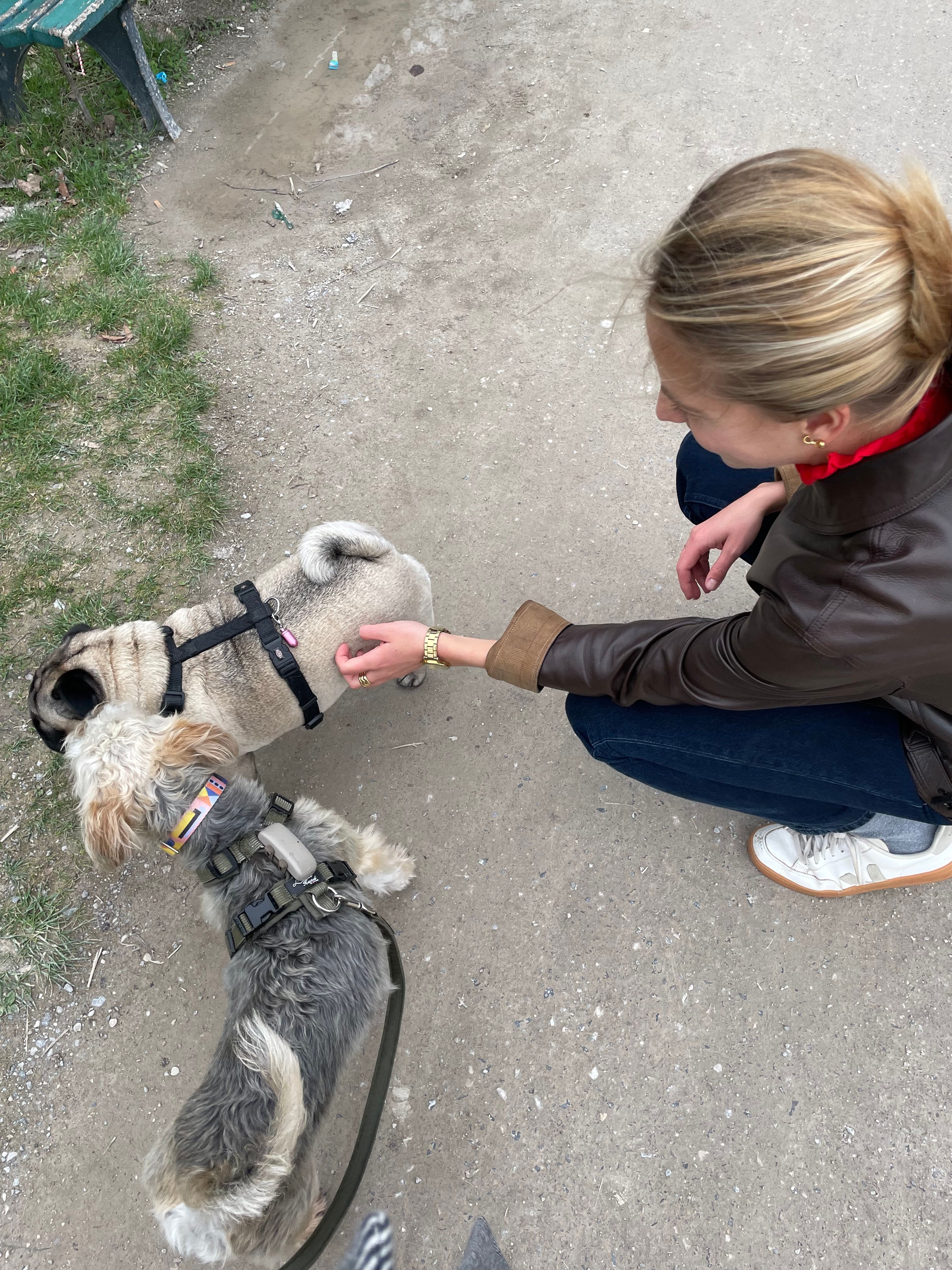 image-7