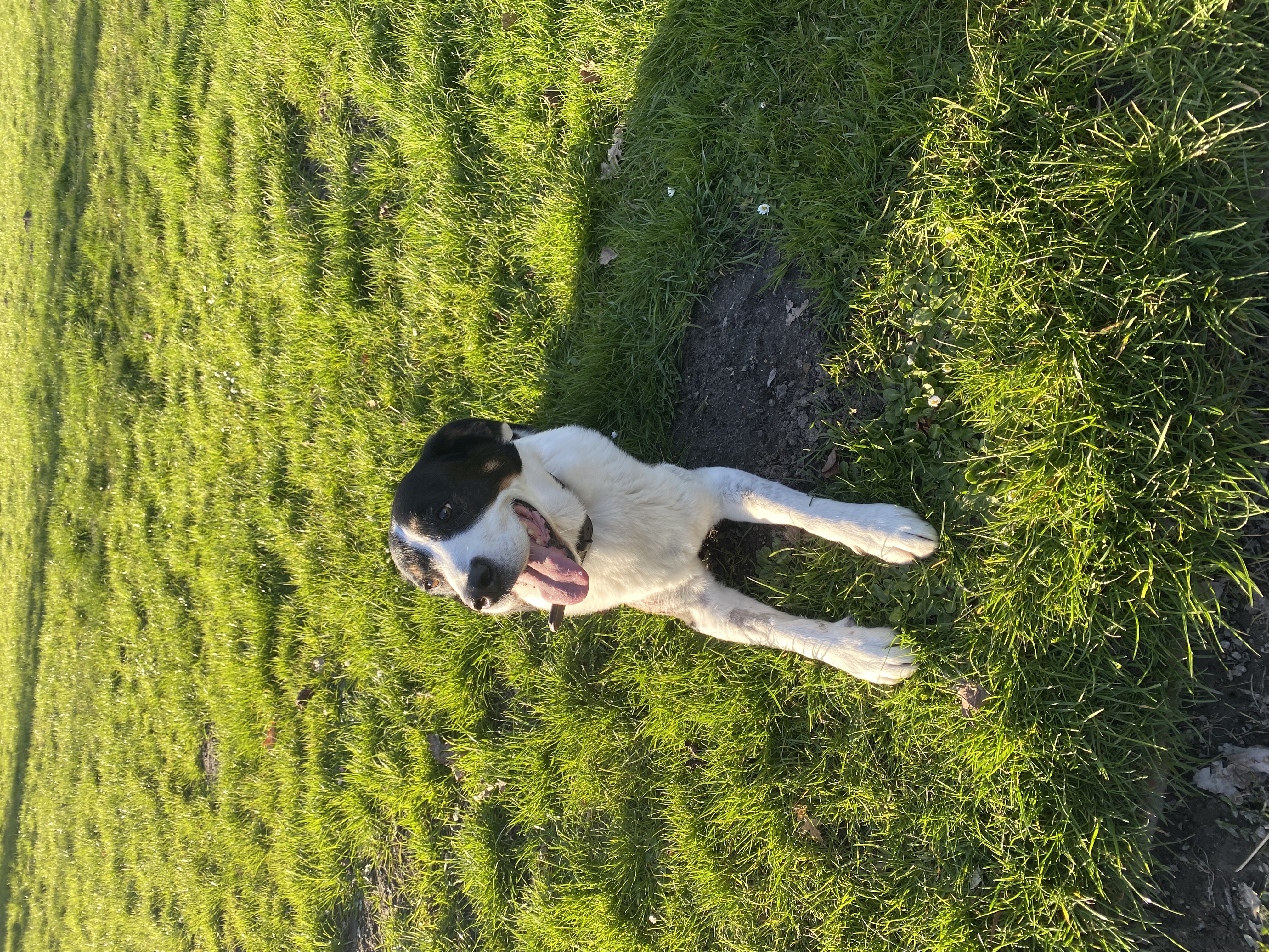image-7