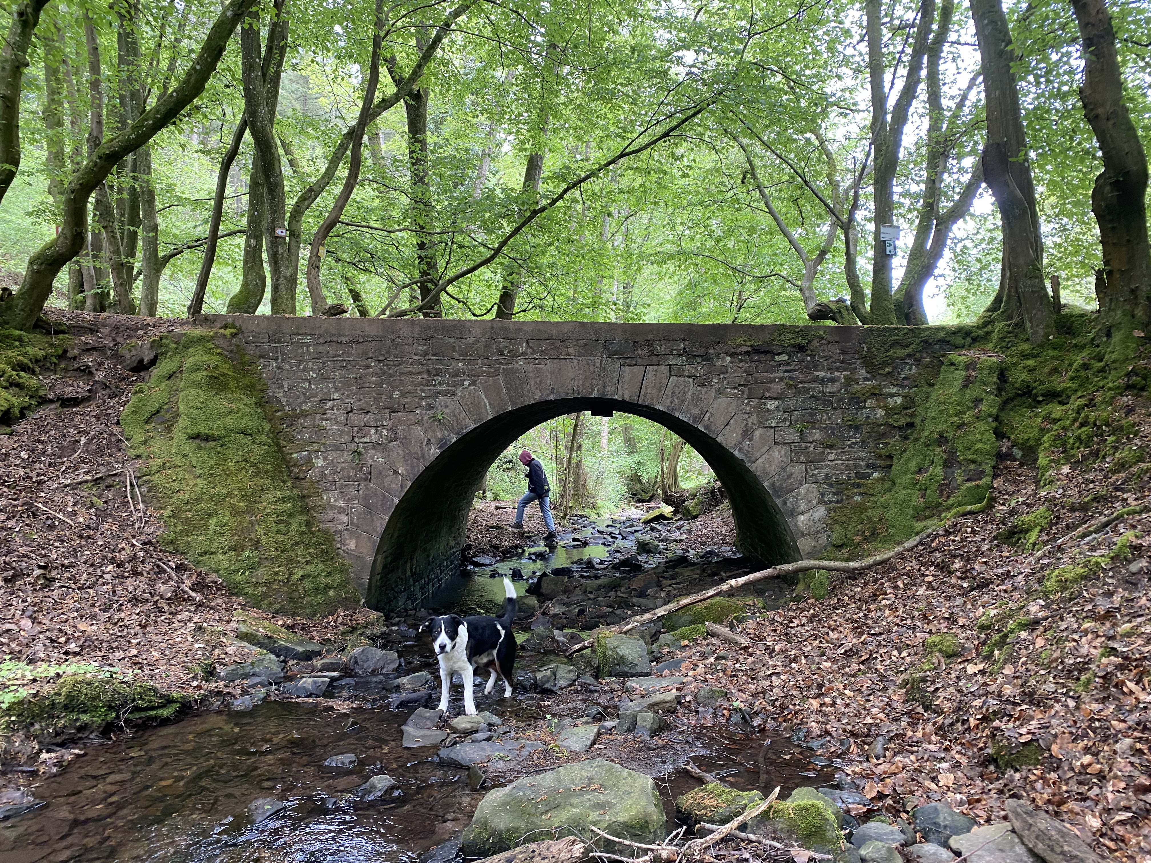 image-9