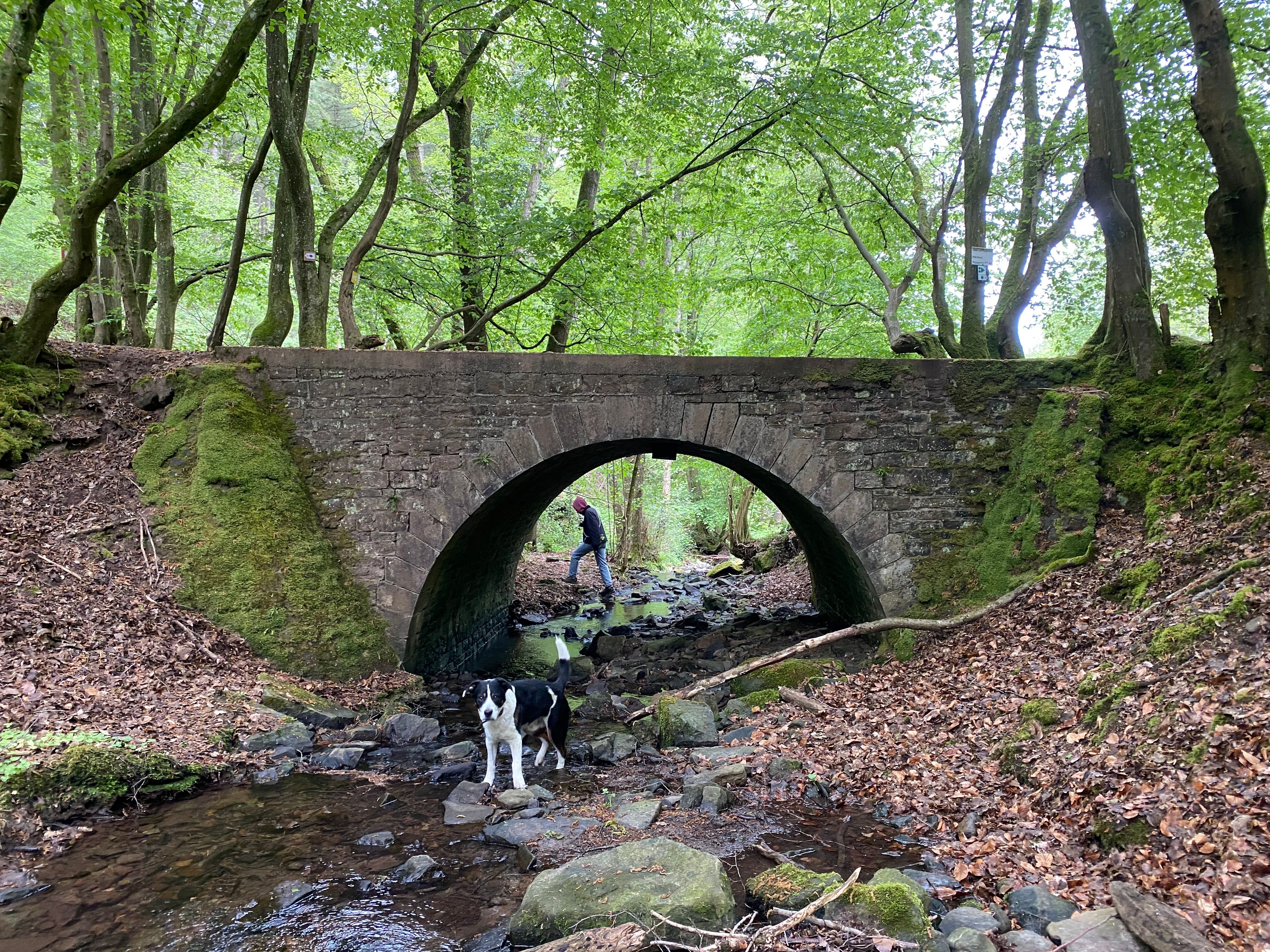 image-9