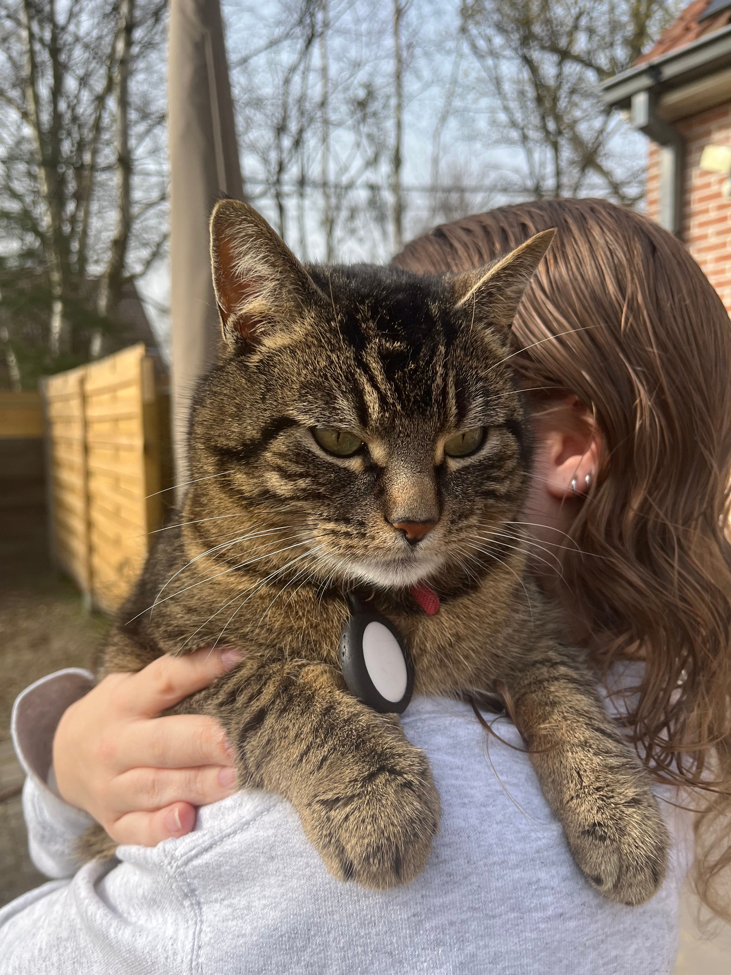 image-9